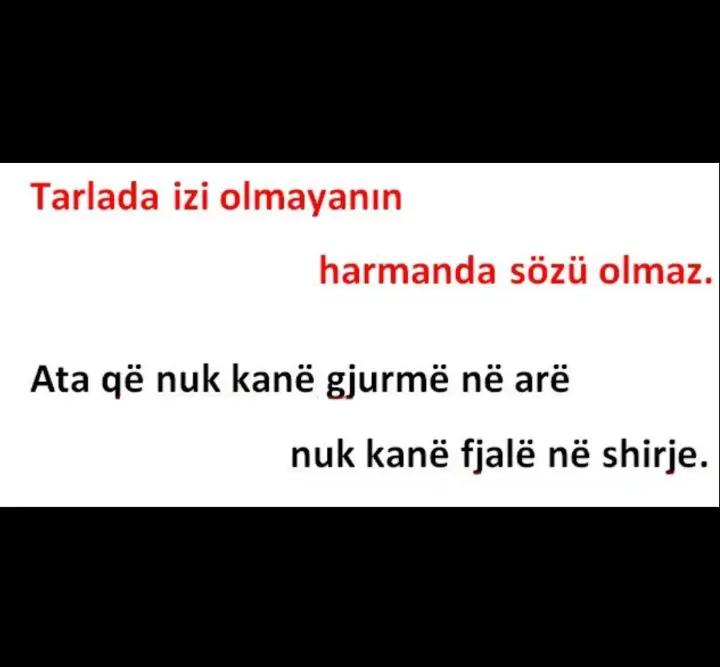 @Nazan Yakal