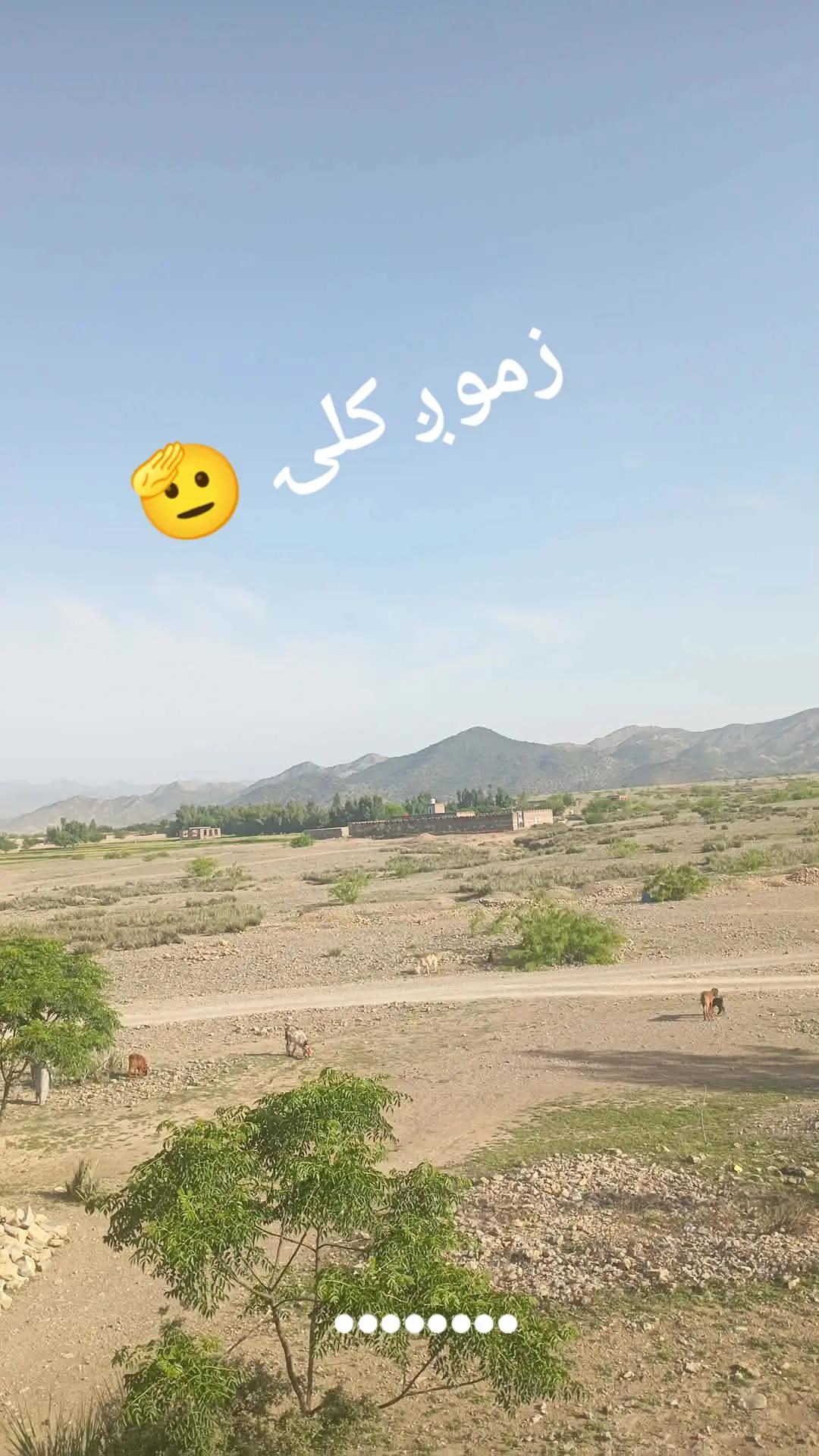 @Zienatullah ZaheeR