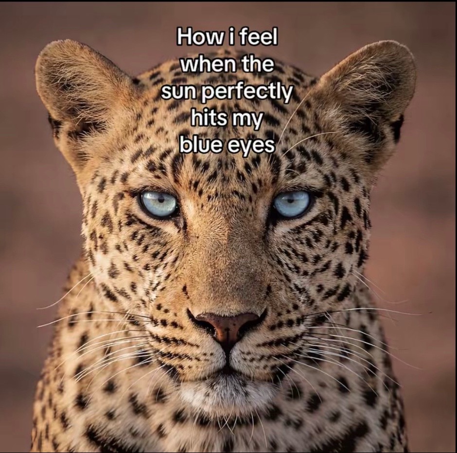 @Secret.Account