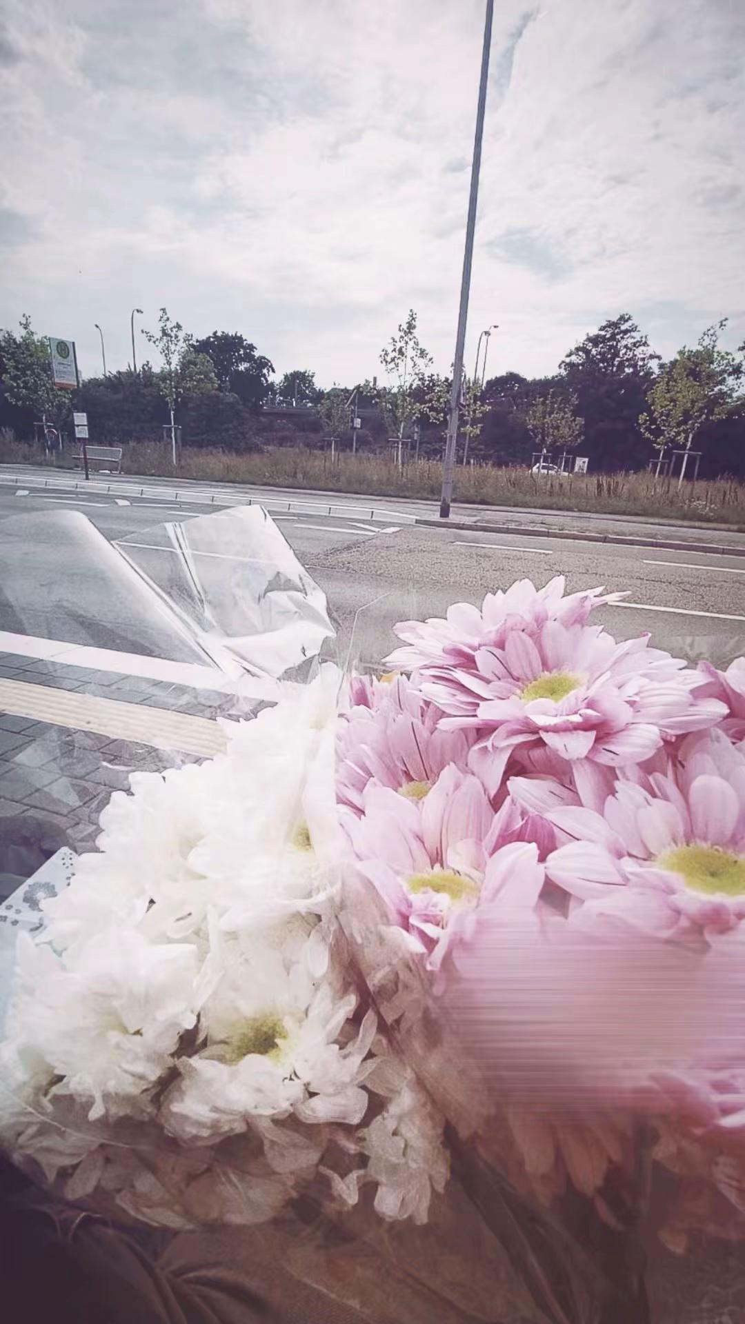 @𝐃𝐢𝐥𝐨