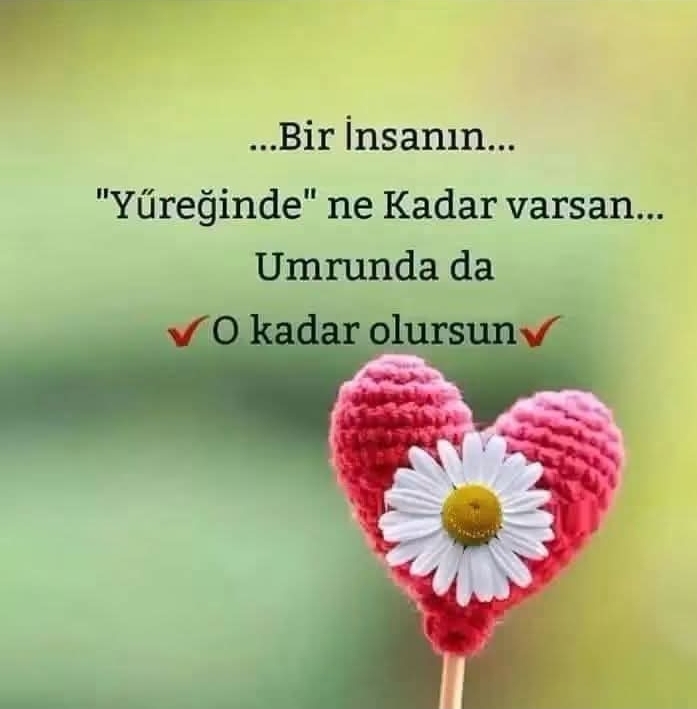 @mecnun