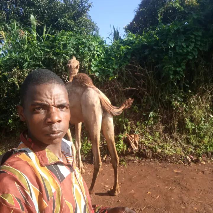 @kalvin a mboya