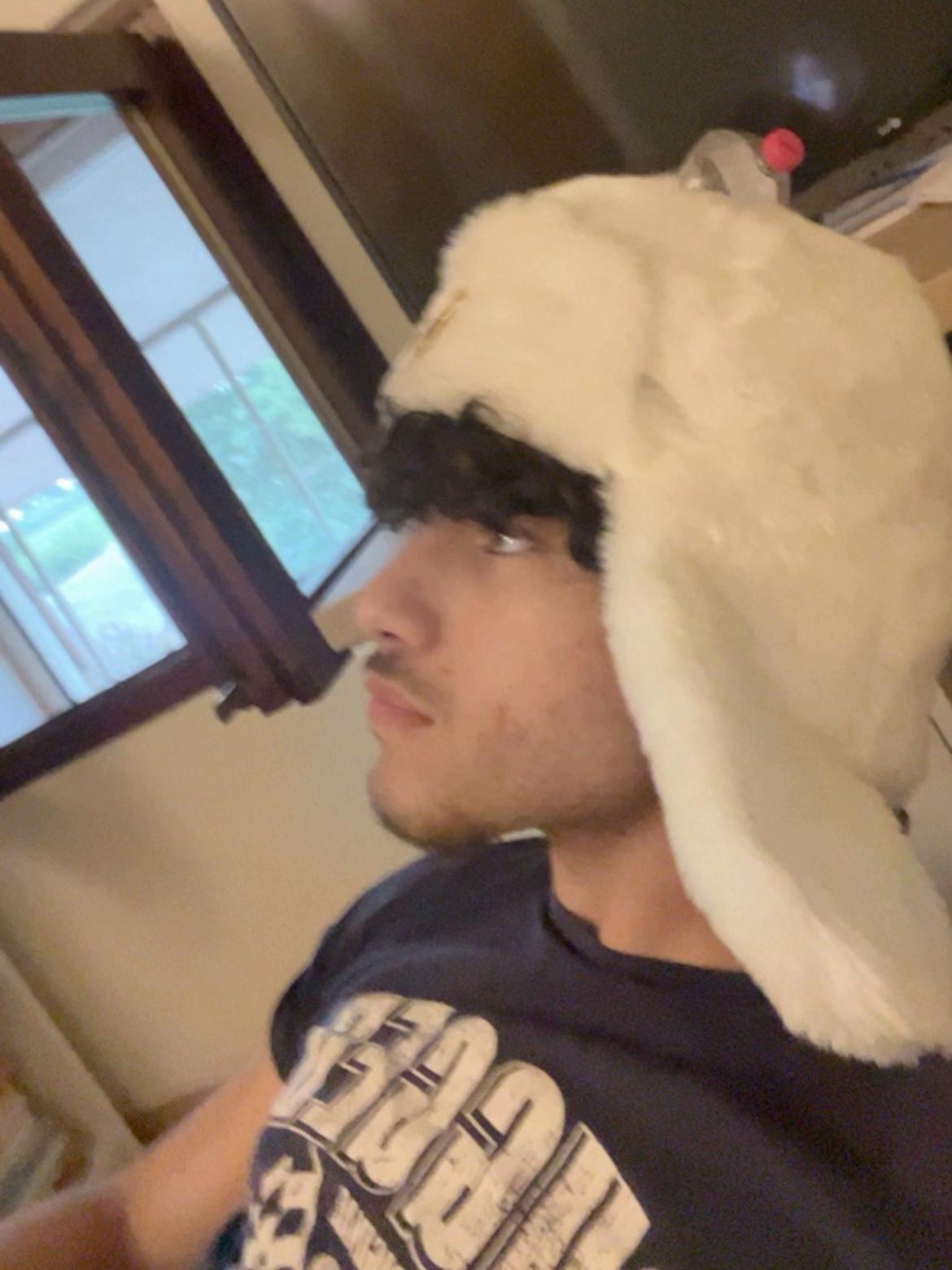 @guasto333