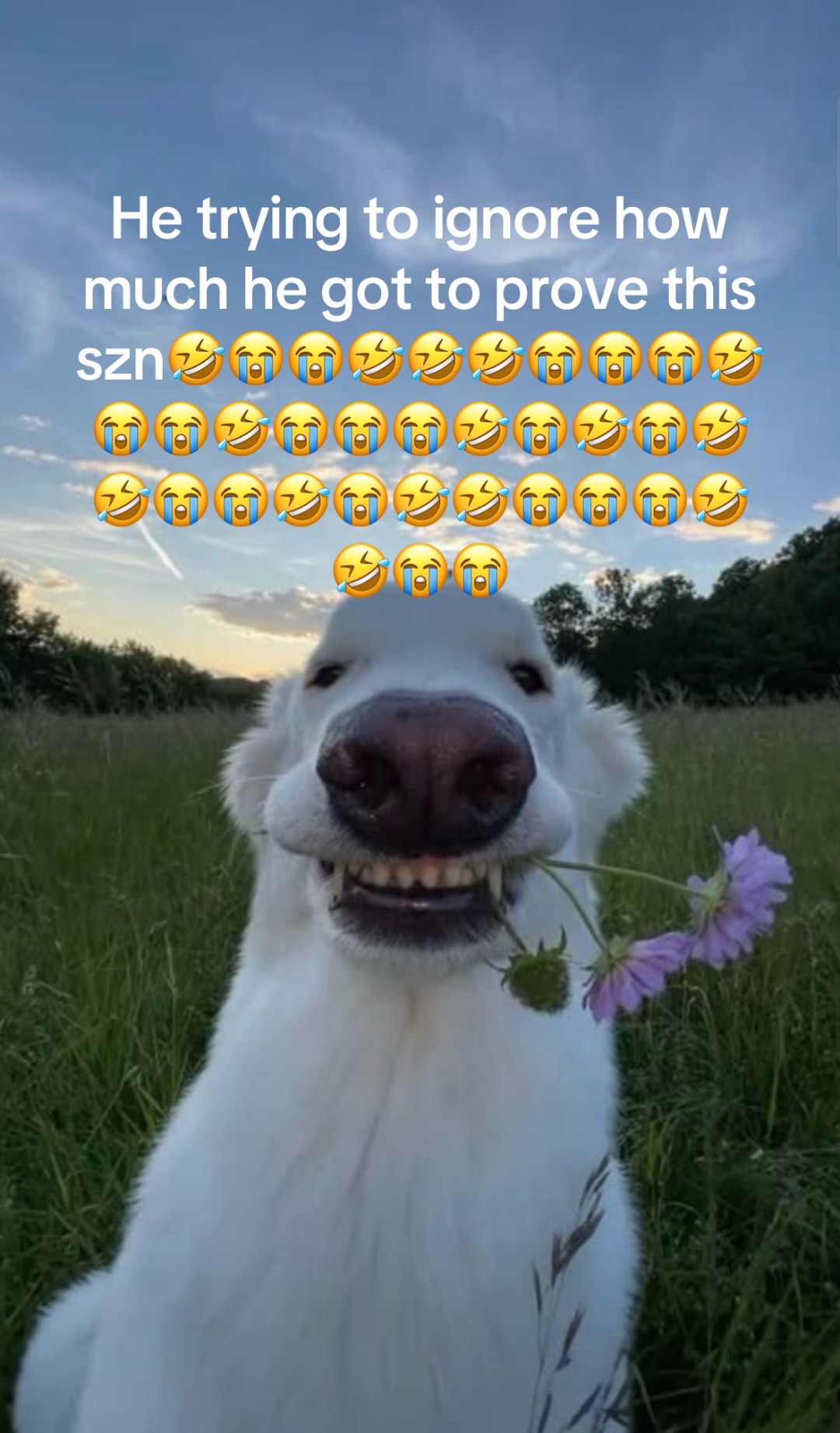 @tacobellmanager