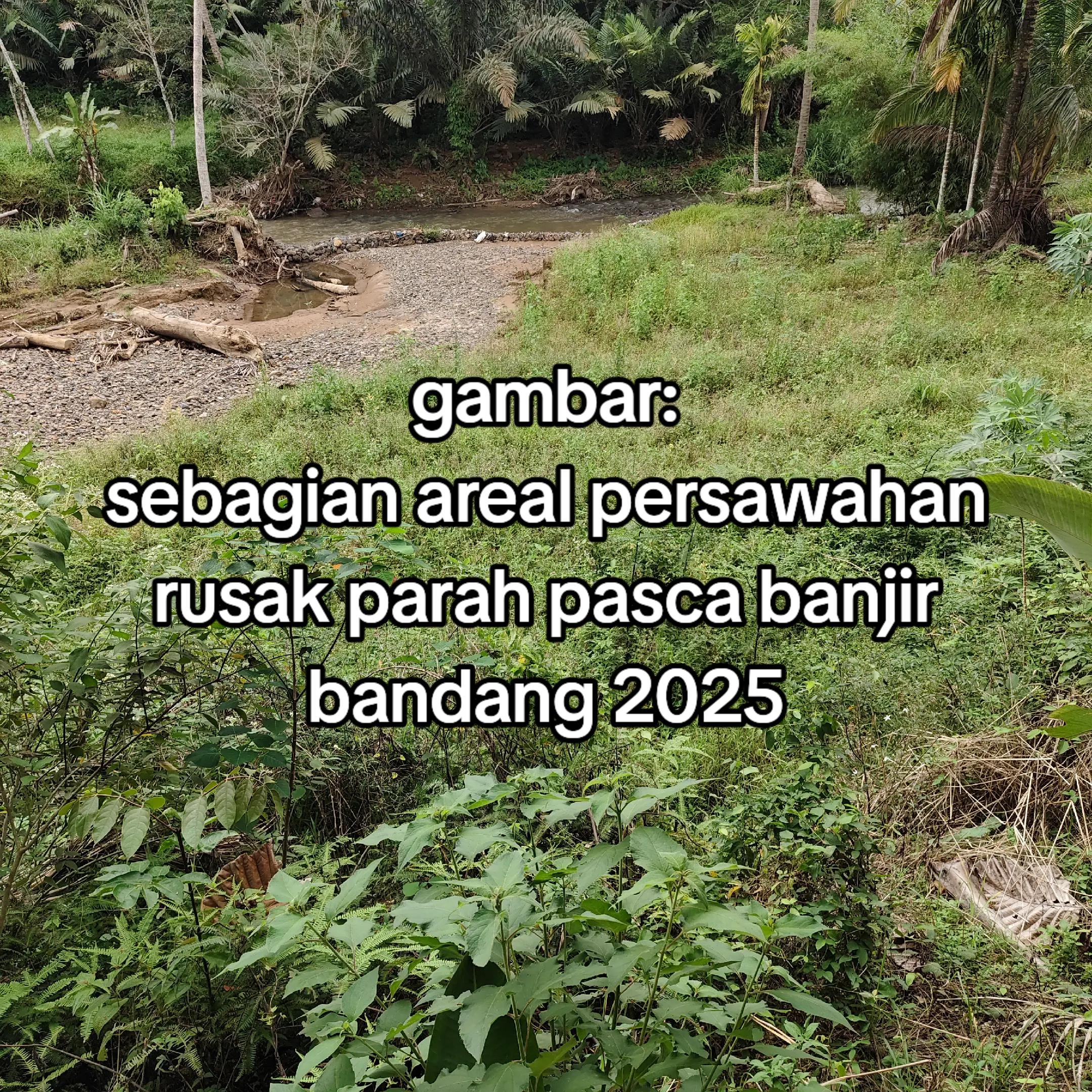 @petani kecil ujung tapsel