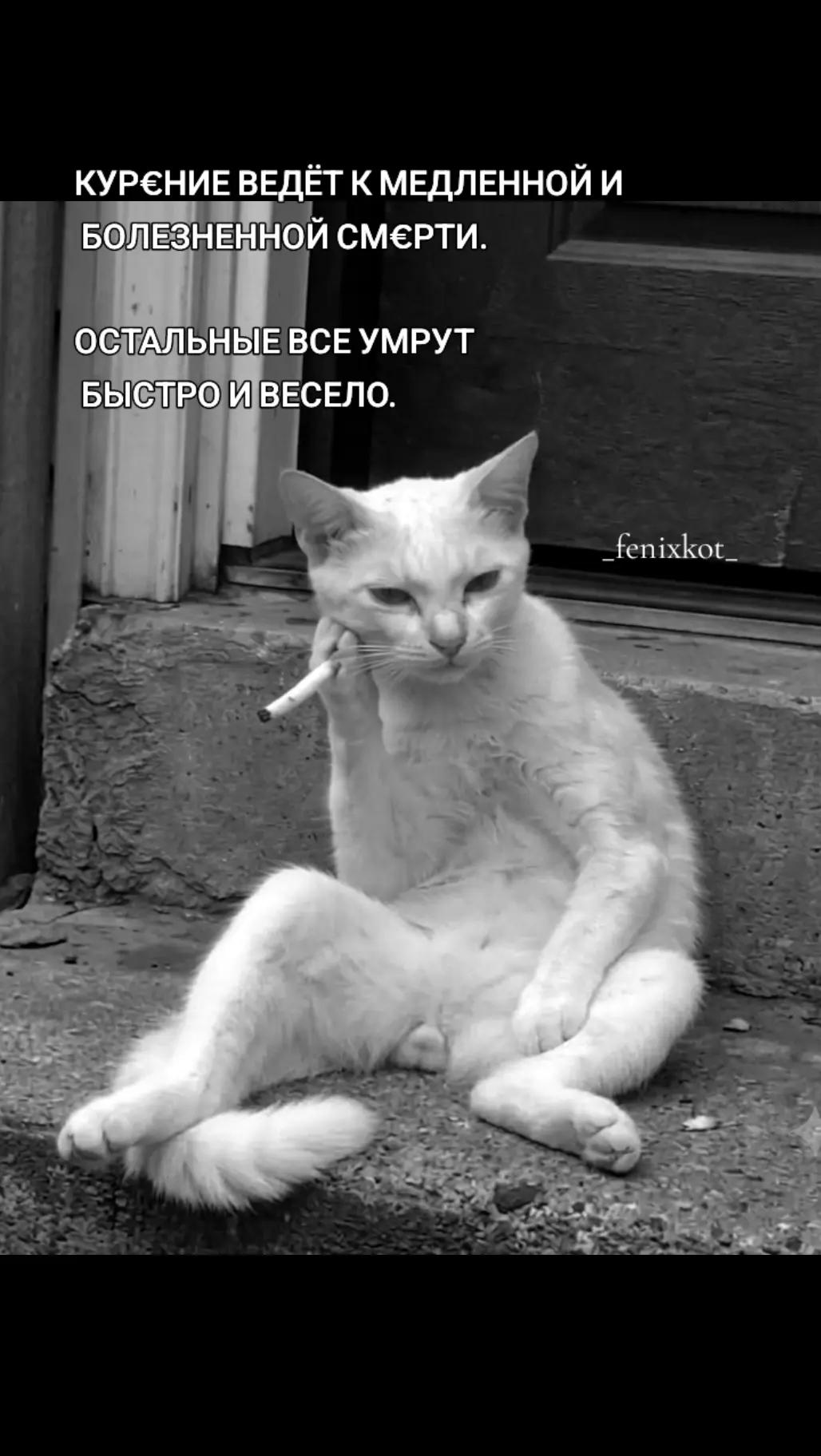 @La❤️koShka