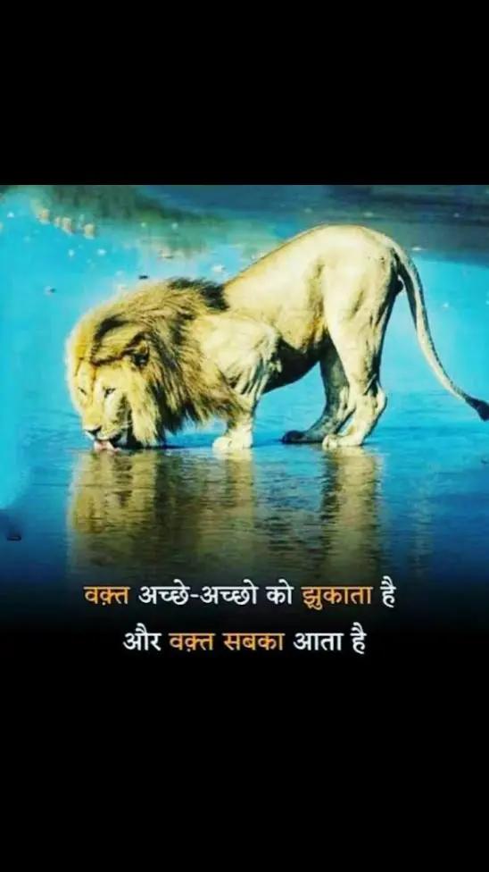 @Satya king Surendra mhera 👑