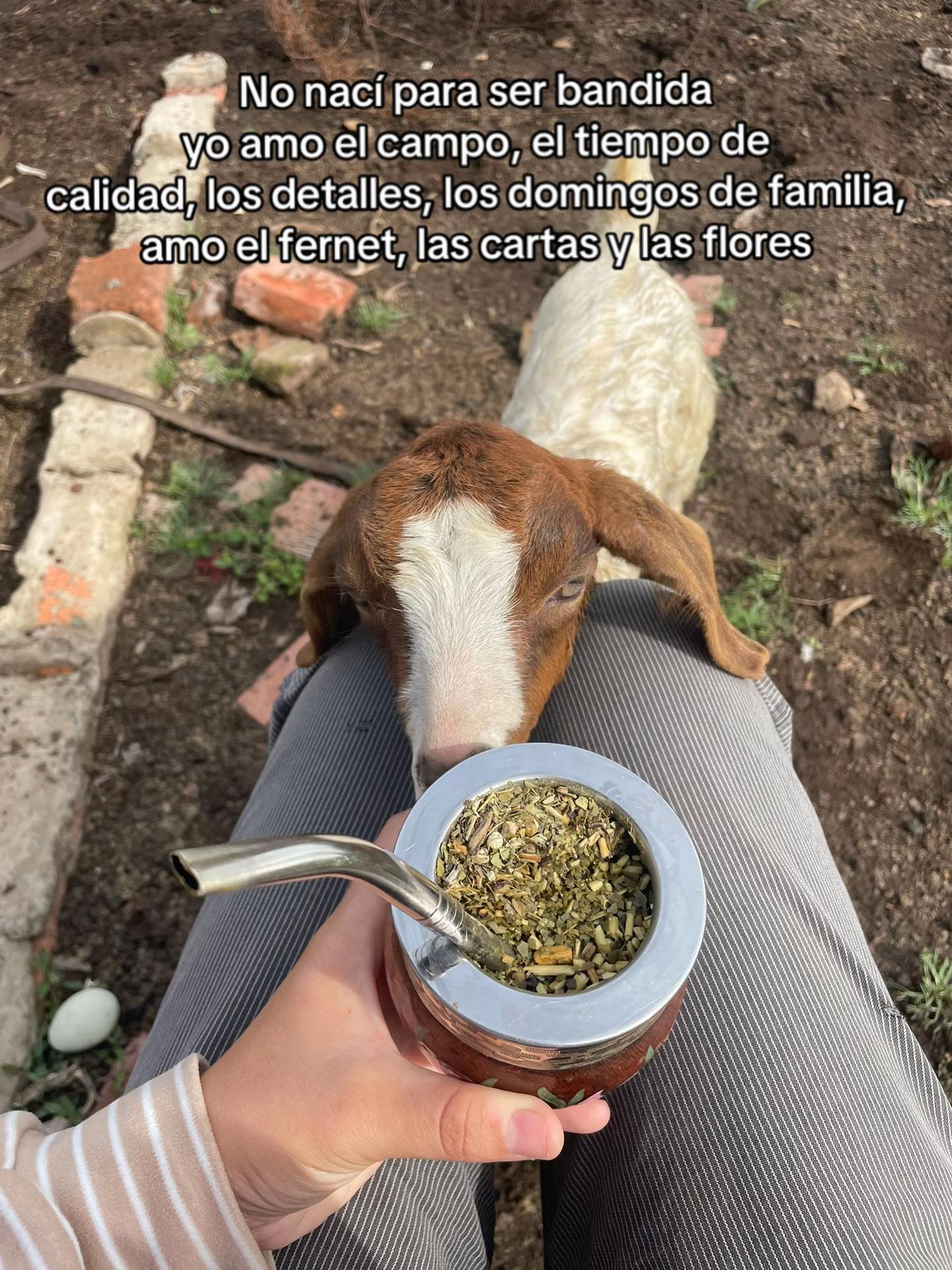 @yassmin1c