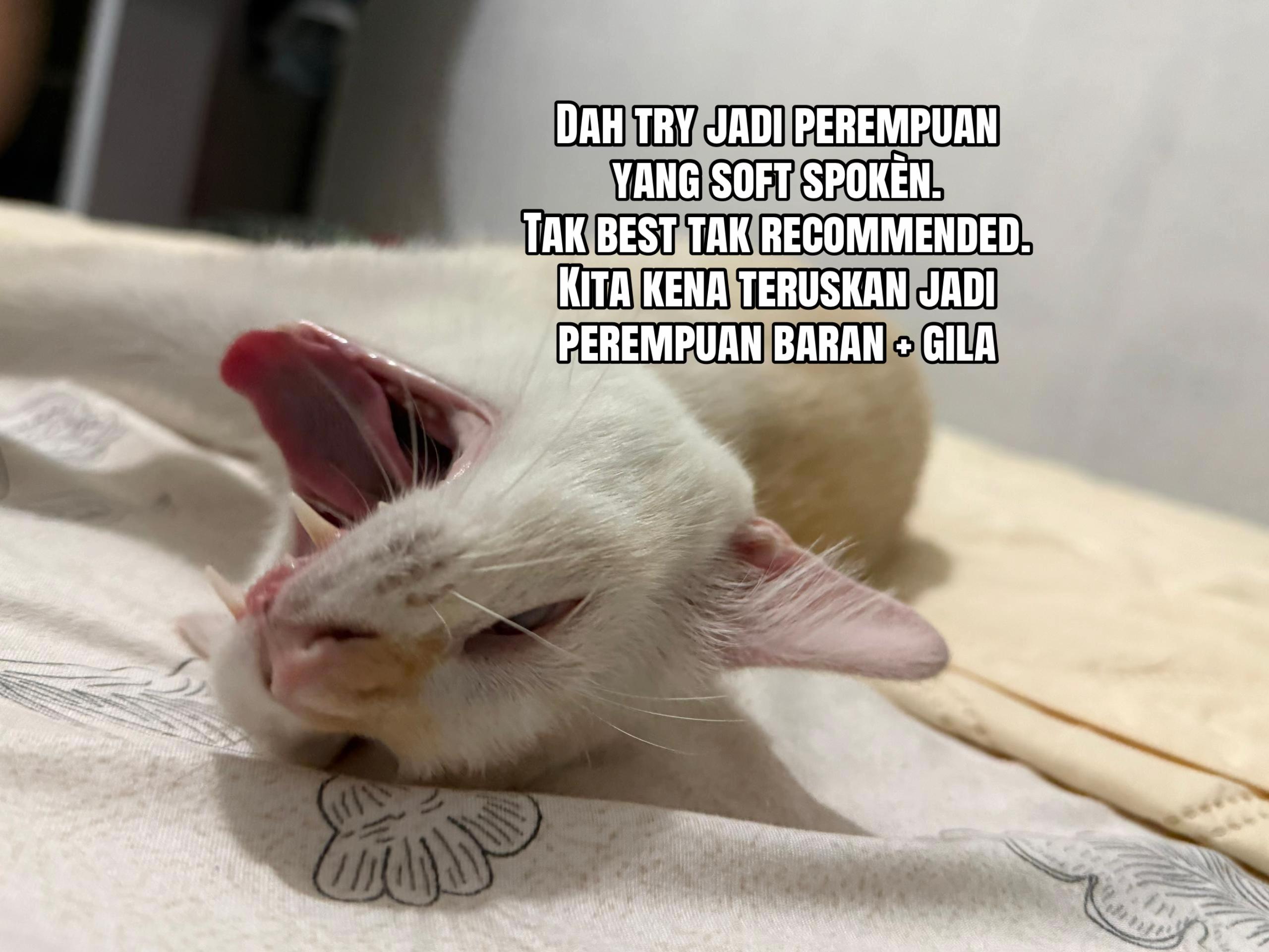@แด I แฐ I E ๐