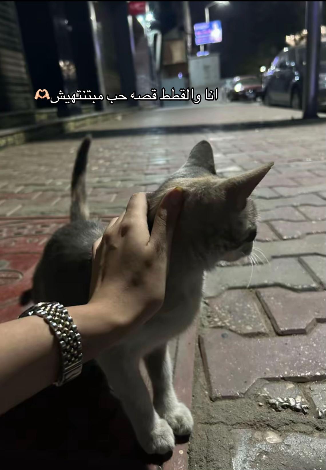 @DI VA🧚&zwj;♀️
