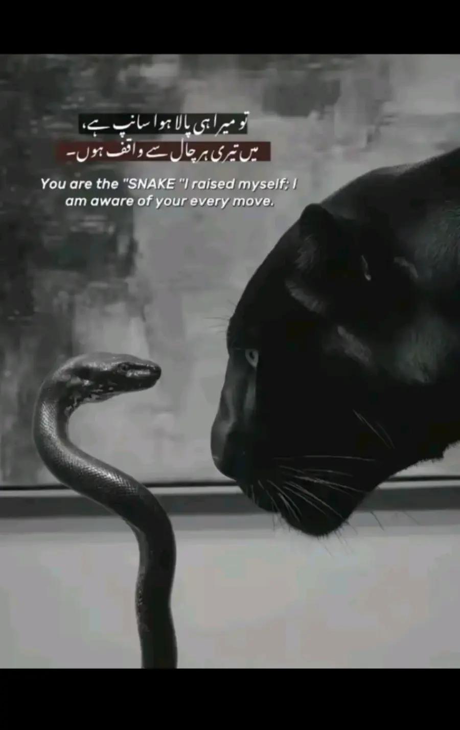 @KHOKHER QUEEN 👑 296 (◕ᴗ◕✿)