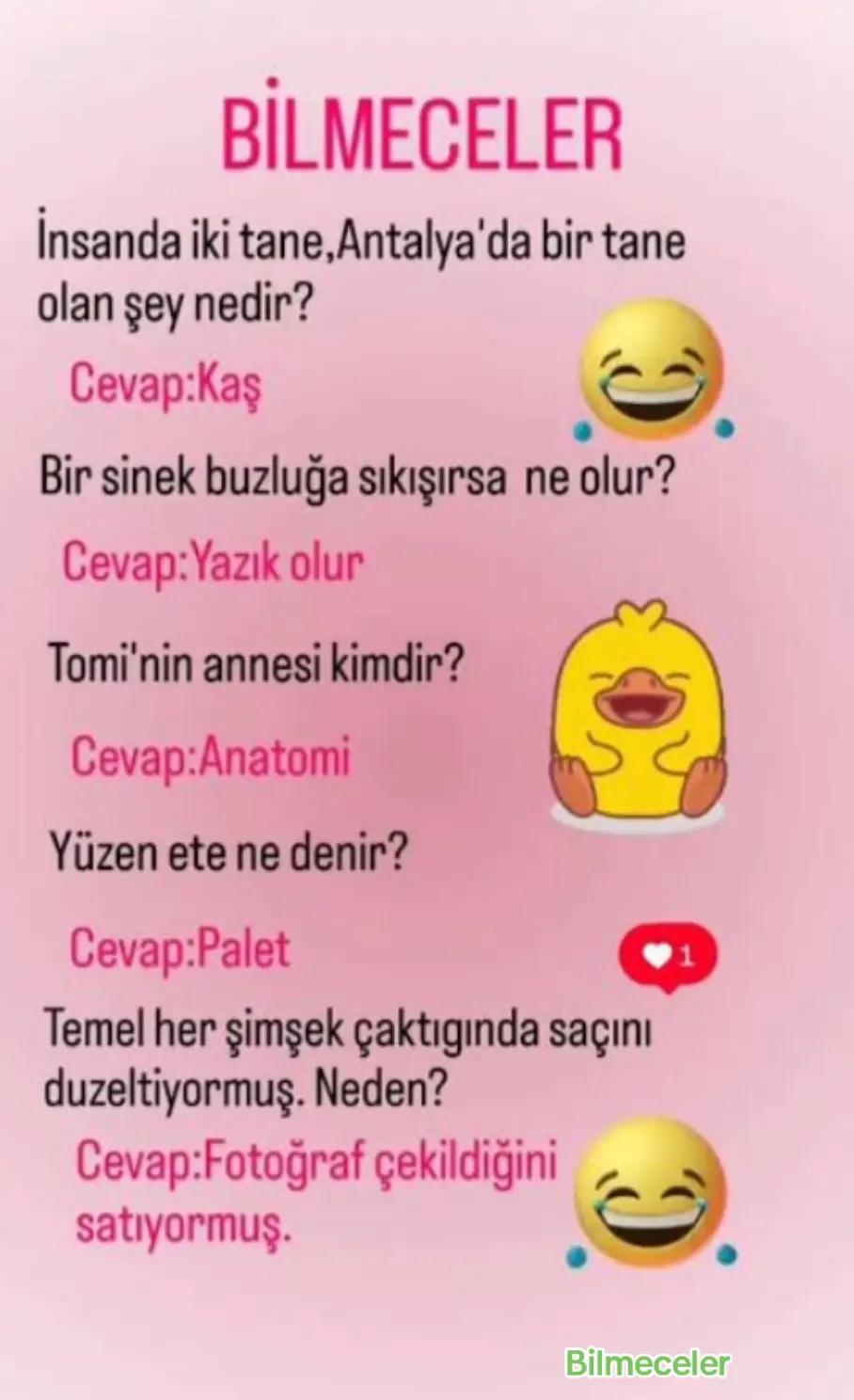 @Onur Çayğaracı 🌼Bilmeceler