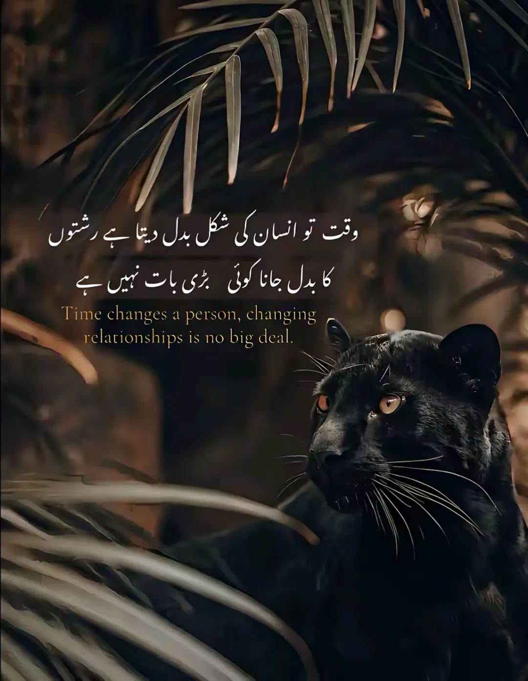 @👑احسان صیریق,👑