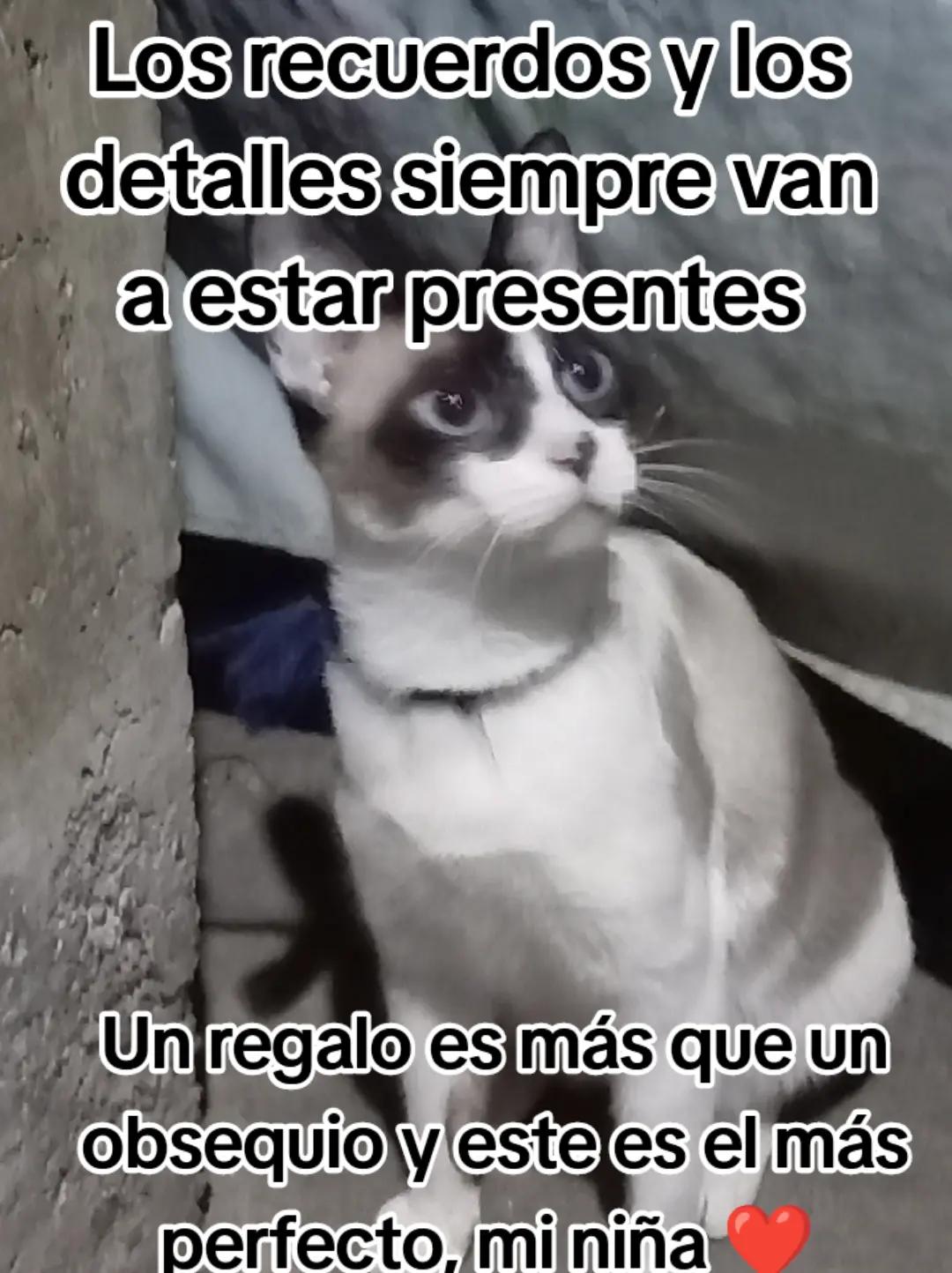@LalolocoxD