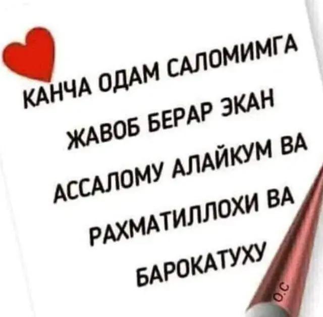 @ЗЕБО 24