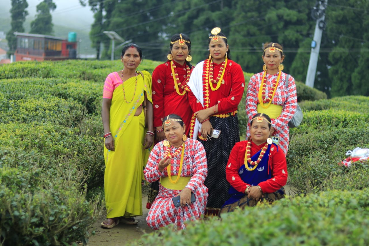 @sanu kanxi