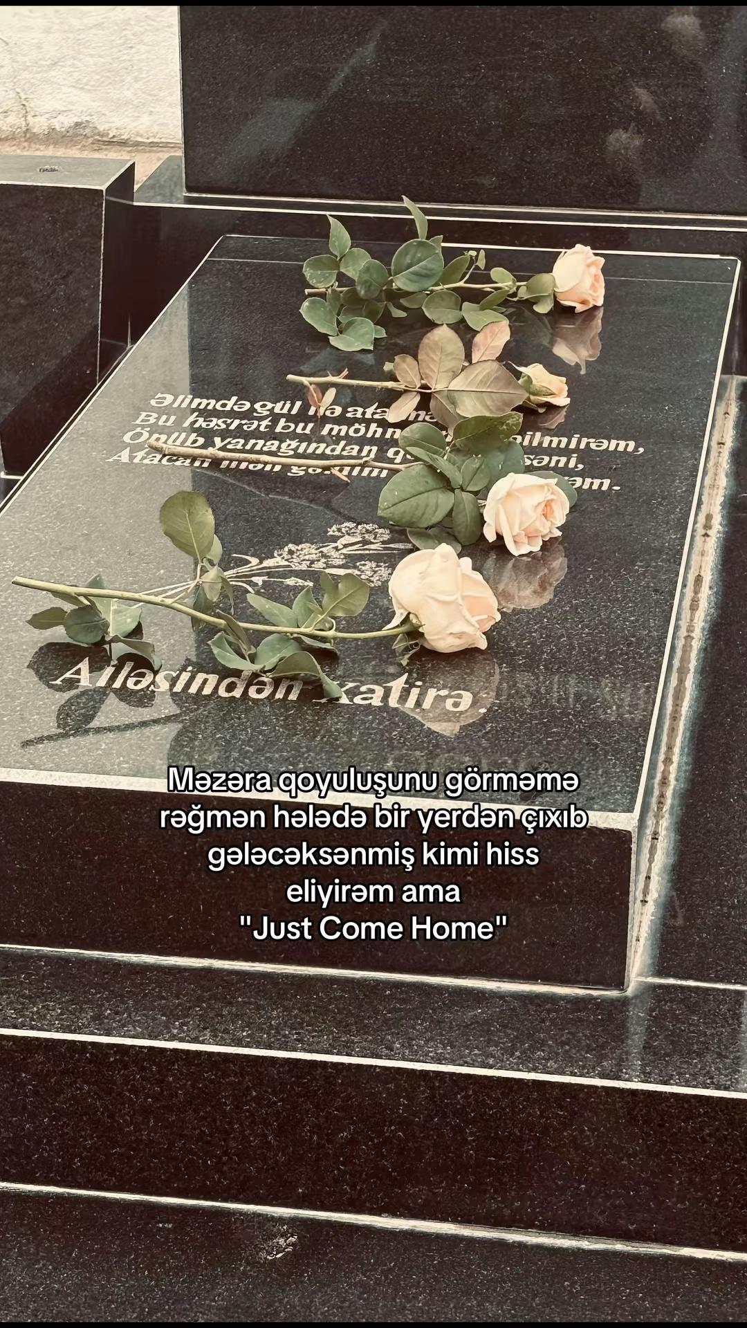 @safii