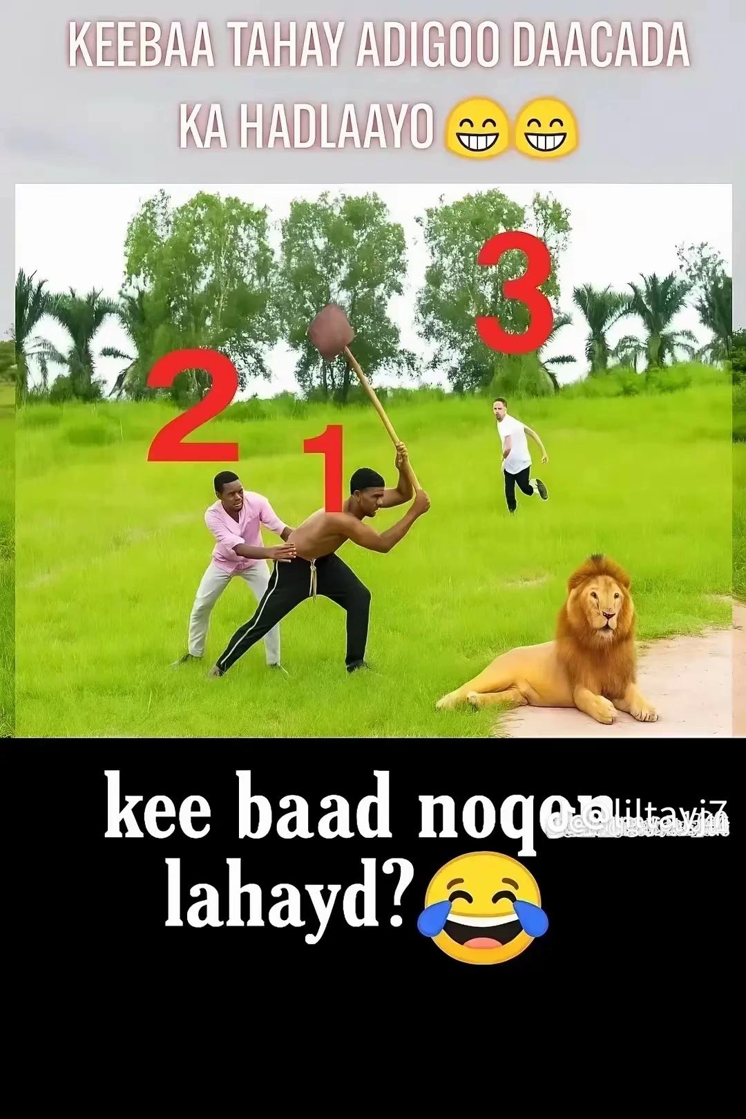 @🌍Papidio🌍Galsen🧠💶🌍