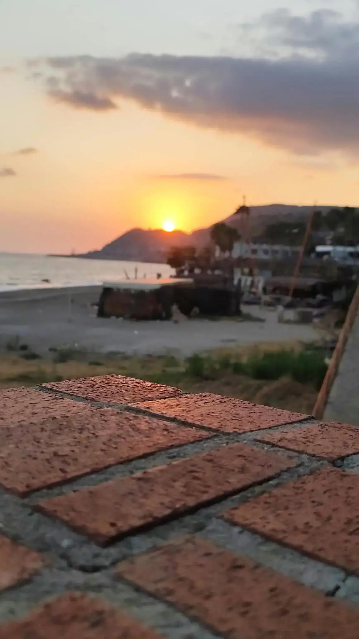 @Kır papatyası 🌼💮🌸🍀🌹