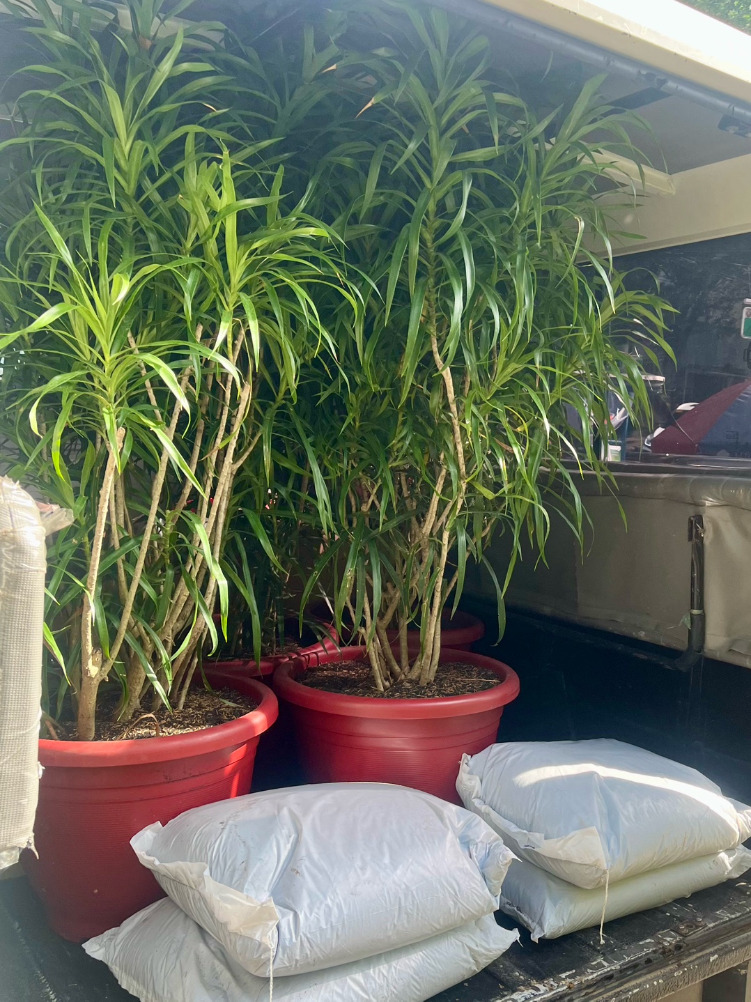 @BM-JOV GARDEN CENTER