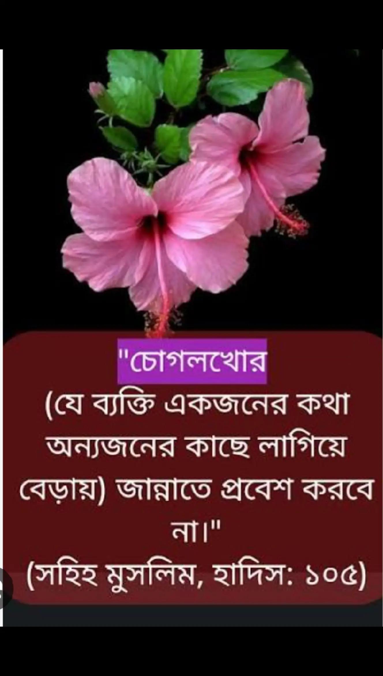 @MS khan💓