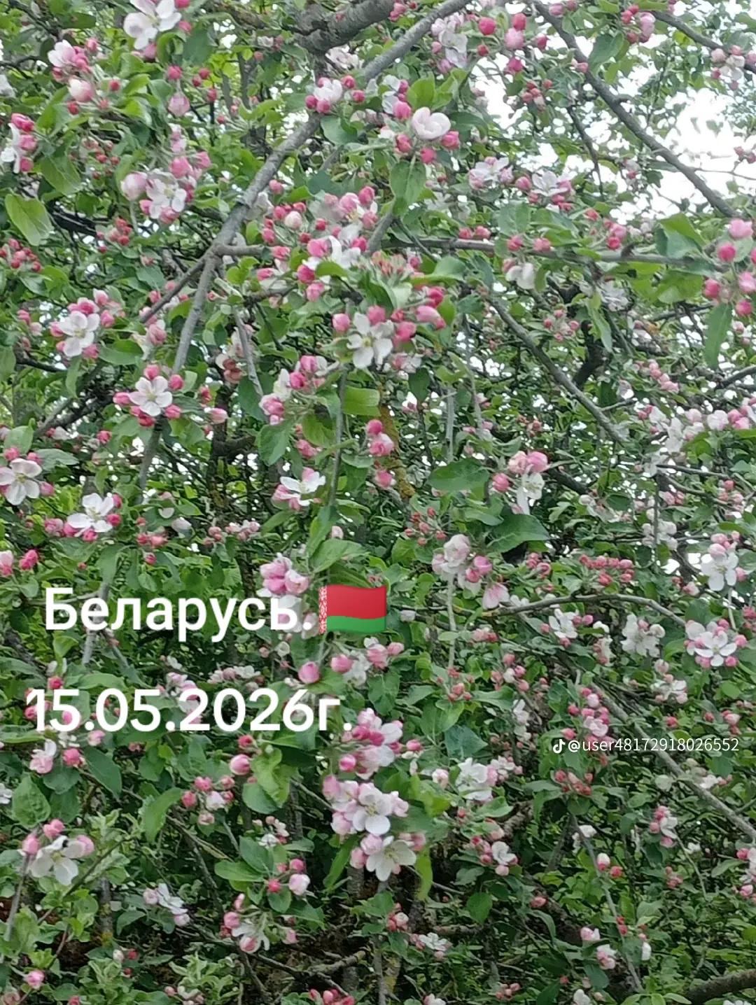@vitalik198823