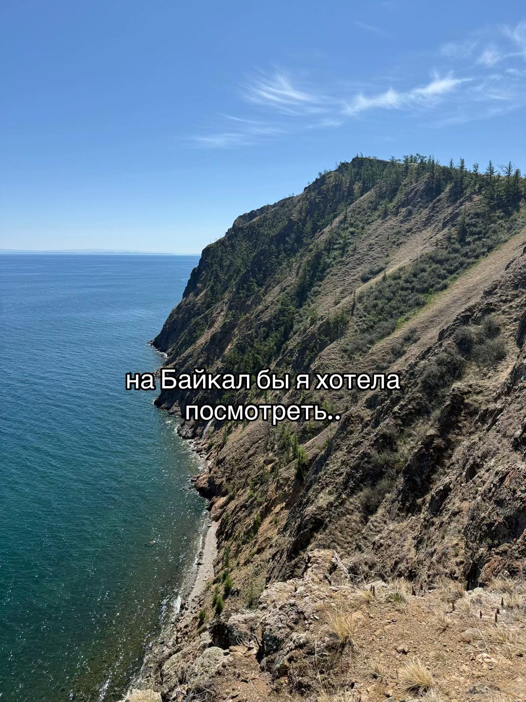 @светки на ветку