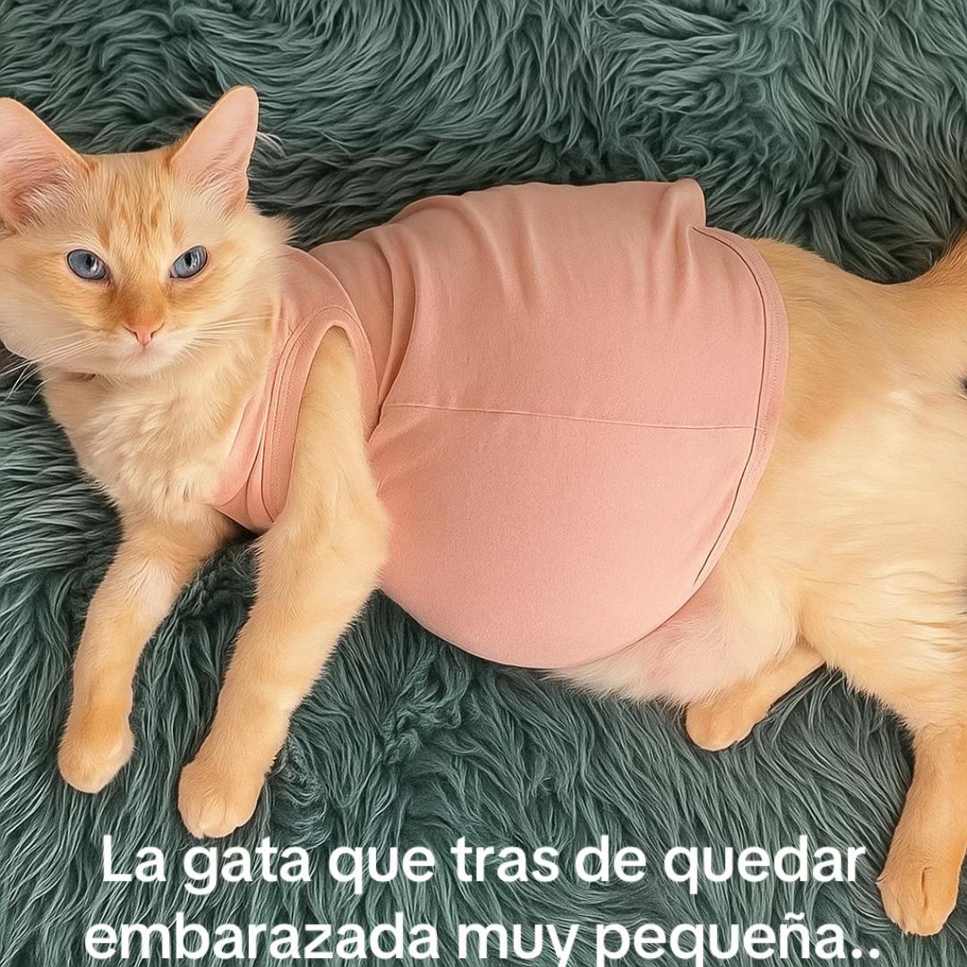 @Phil