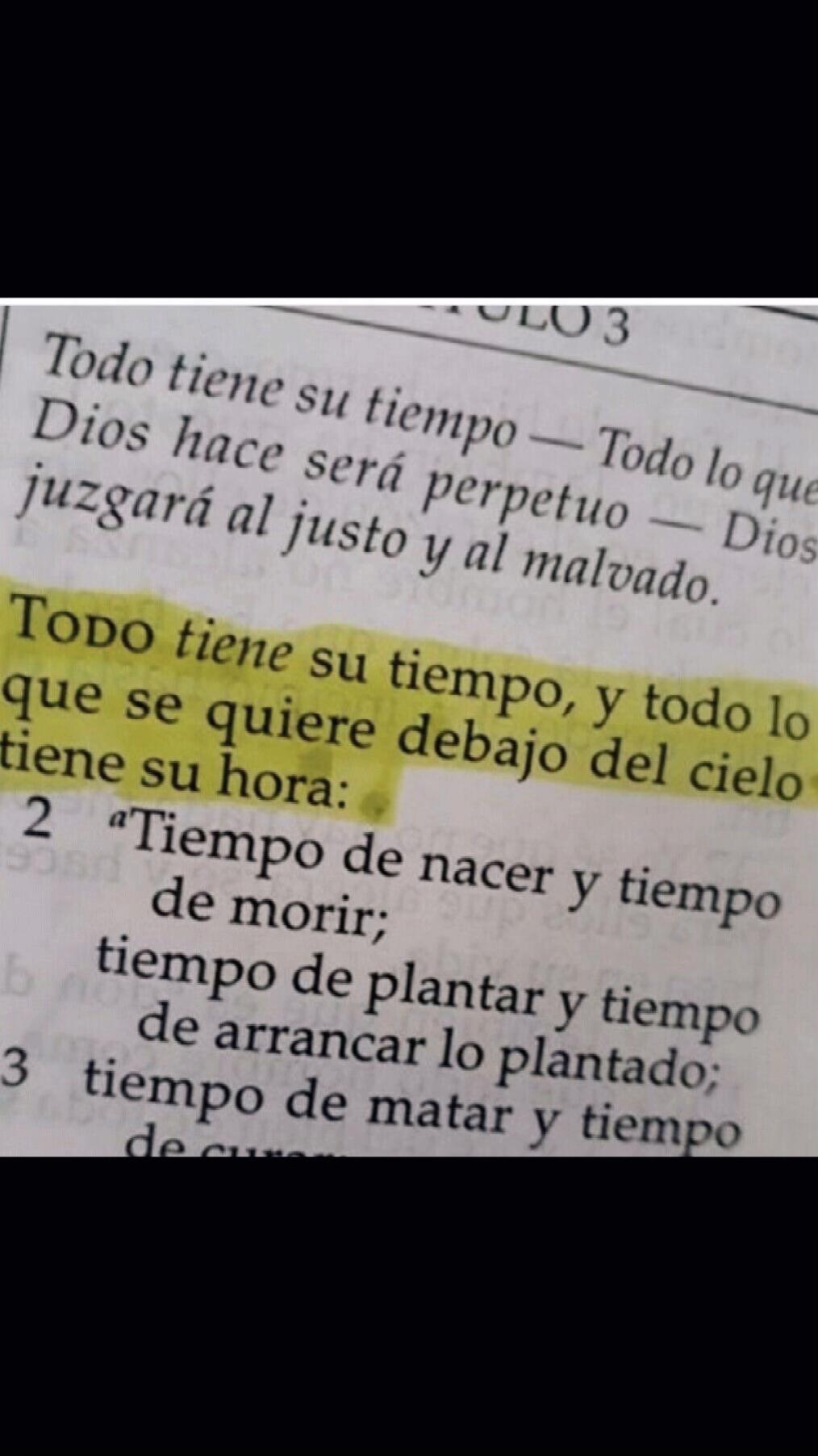 @Antonio SEGA🇲🇽