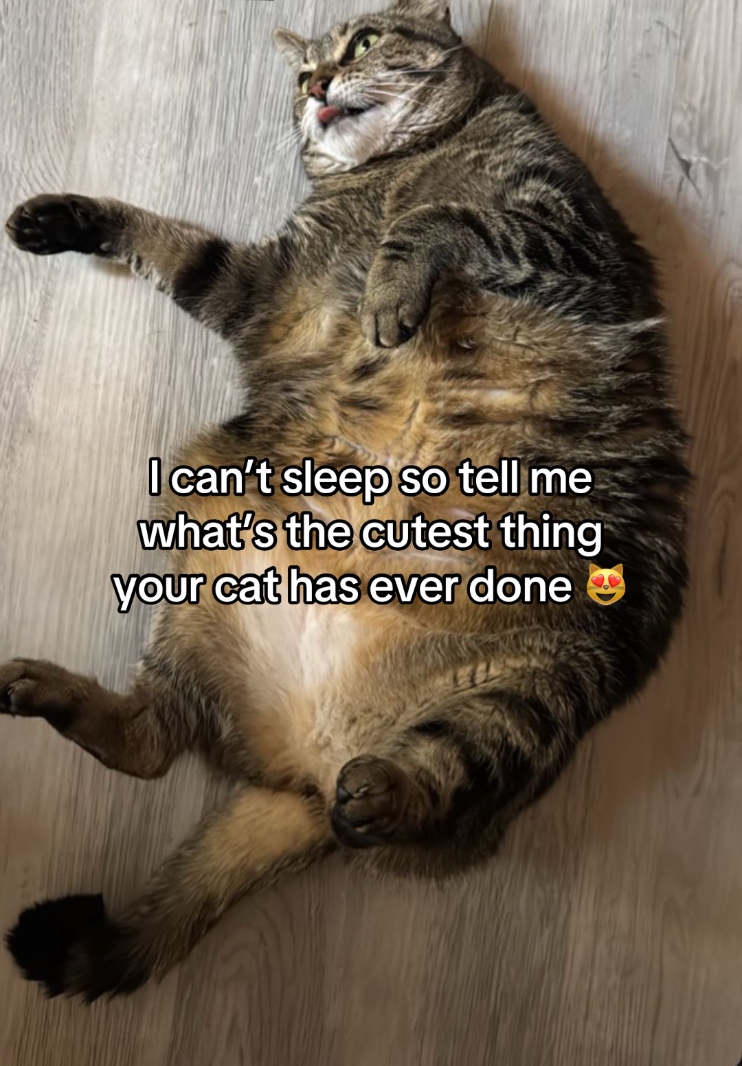 @meganmione
