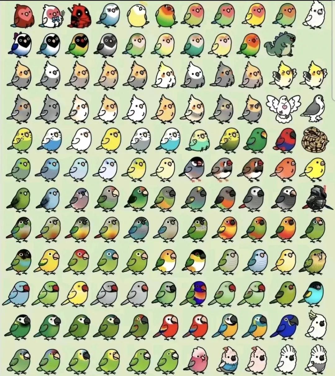 @birbwirb