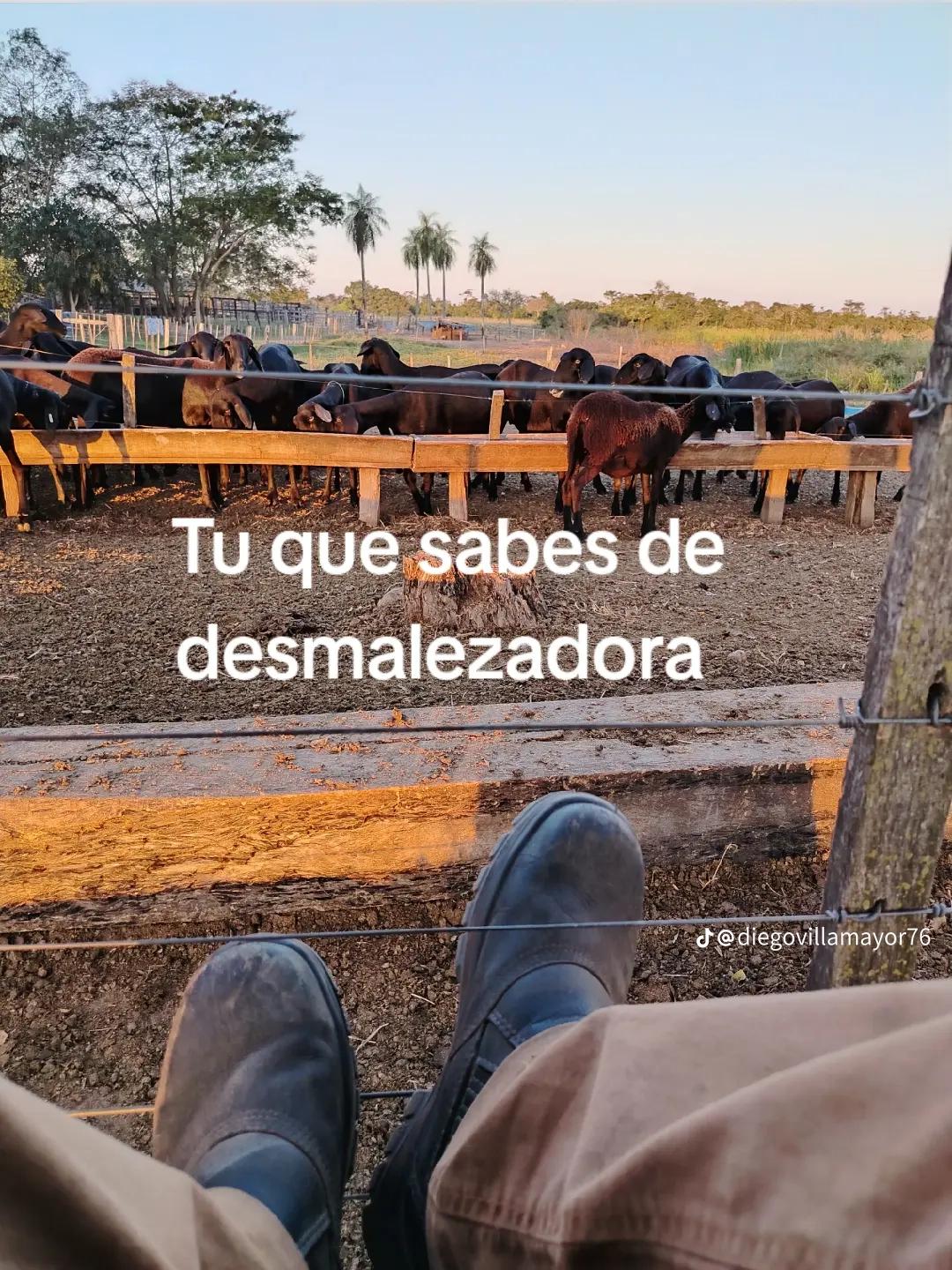 @Cecilia ๐