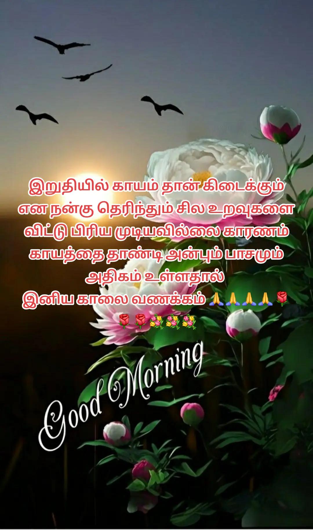 @DJ Vijay 🏋️🏋️❤️❤️❤️🔉🎤🎙️🔉