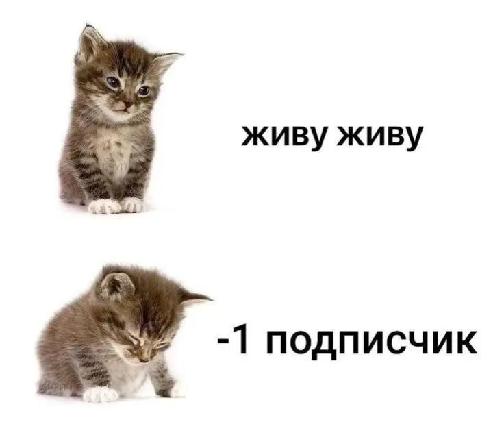 @блейзер tgk:blezzzer.