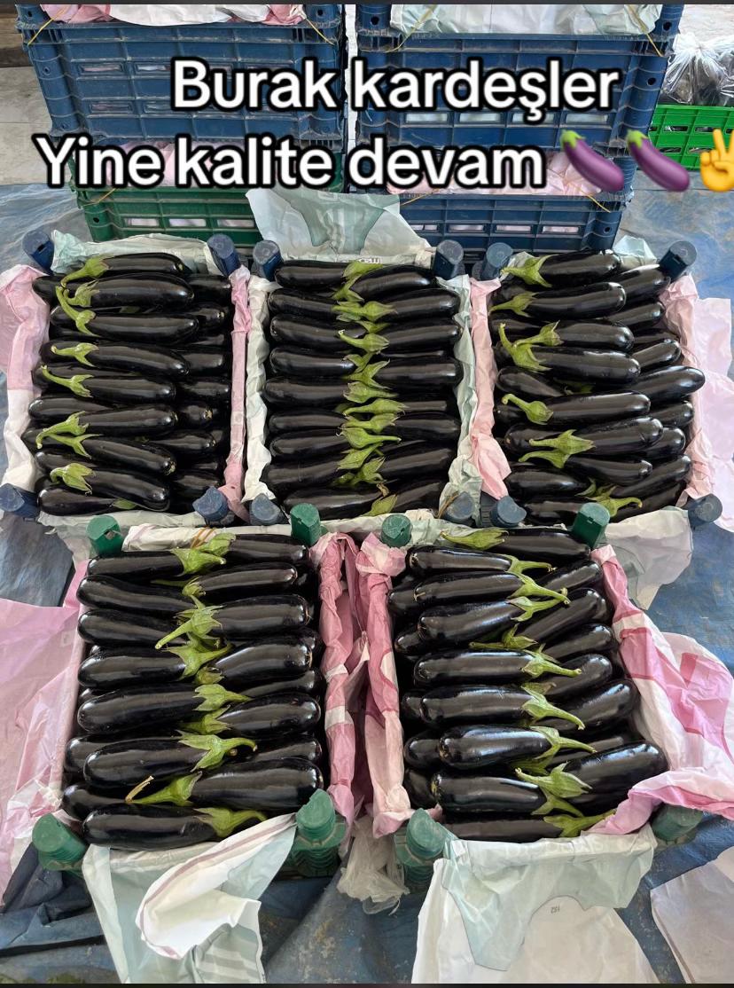 @Hüseyin Burak