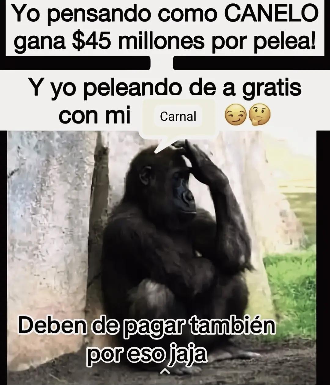 @👊Donis🐸