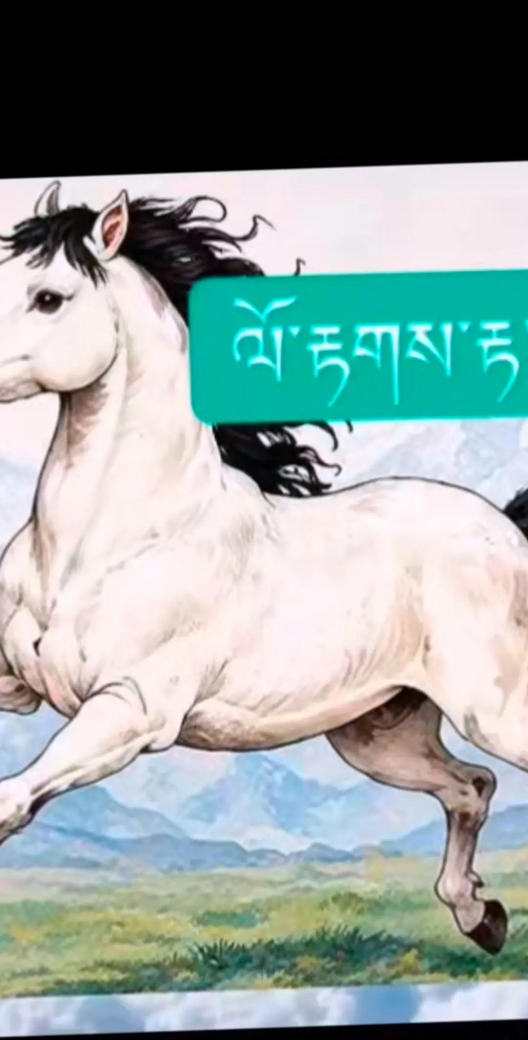 @Sonam Yangden