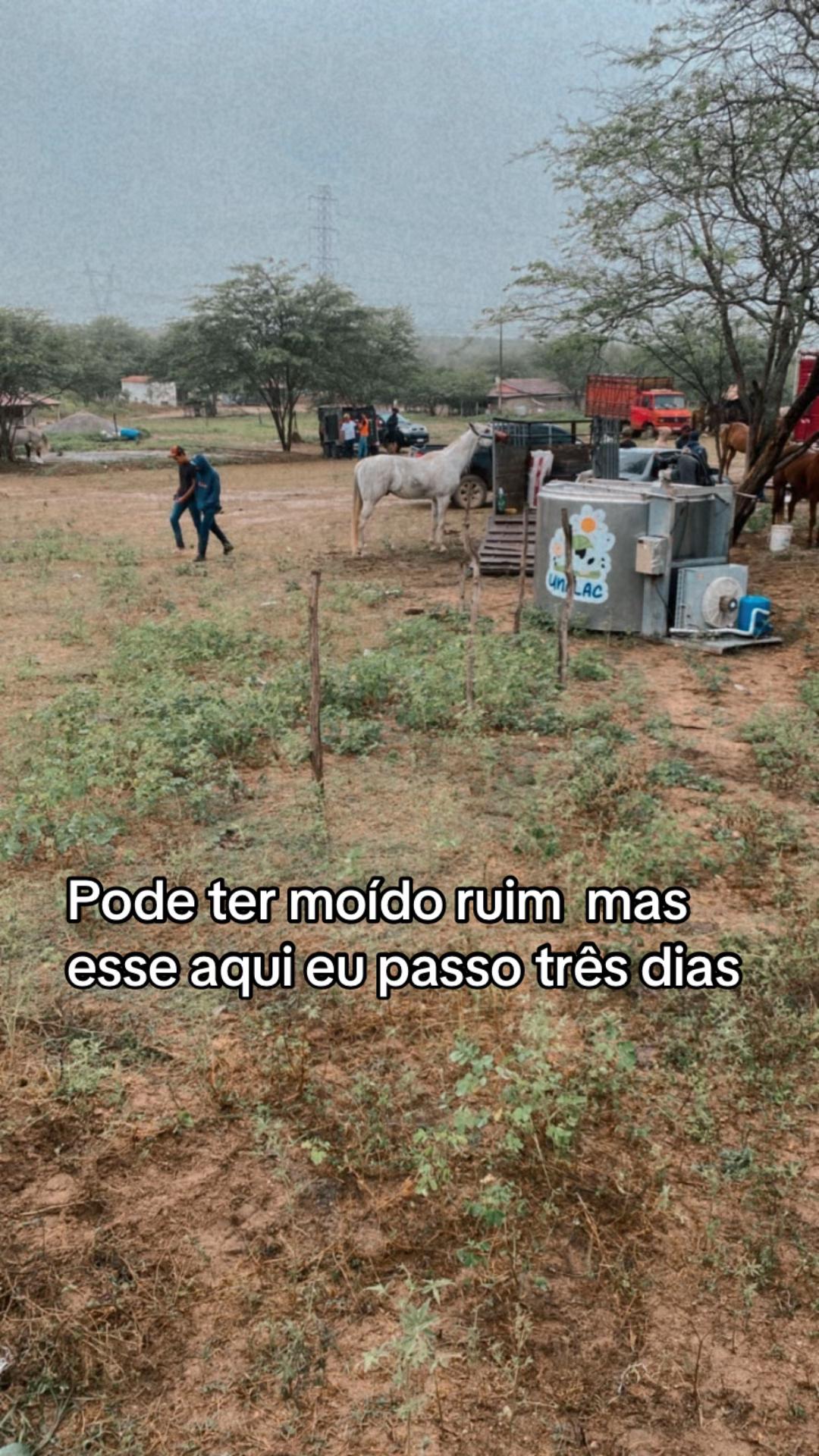 @João Carlos