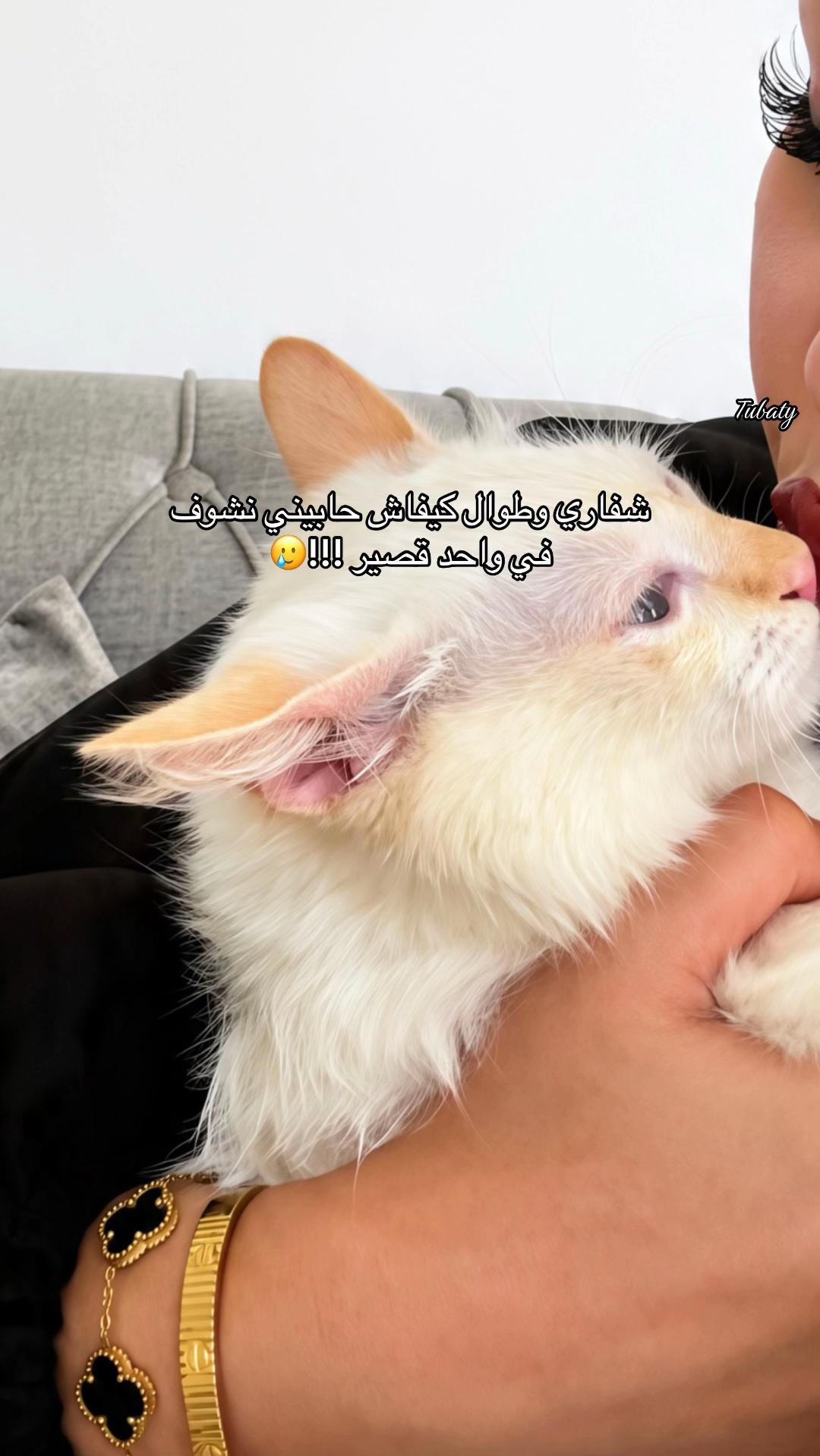 @tubaty__