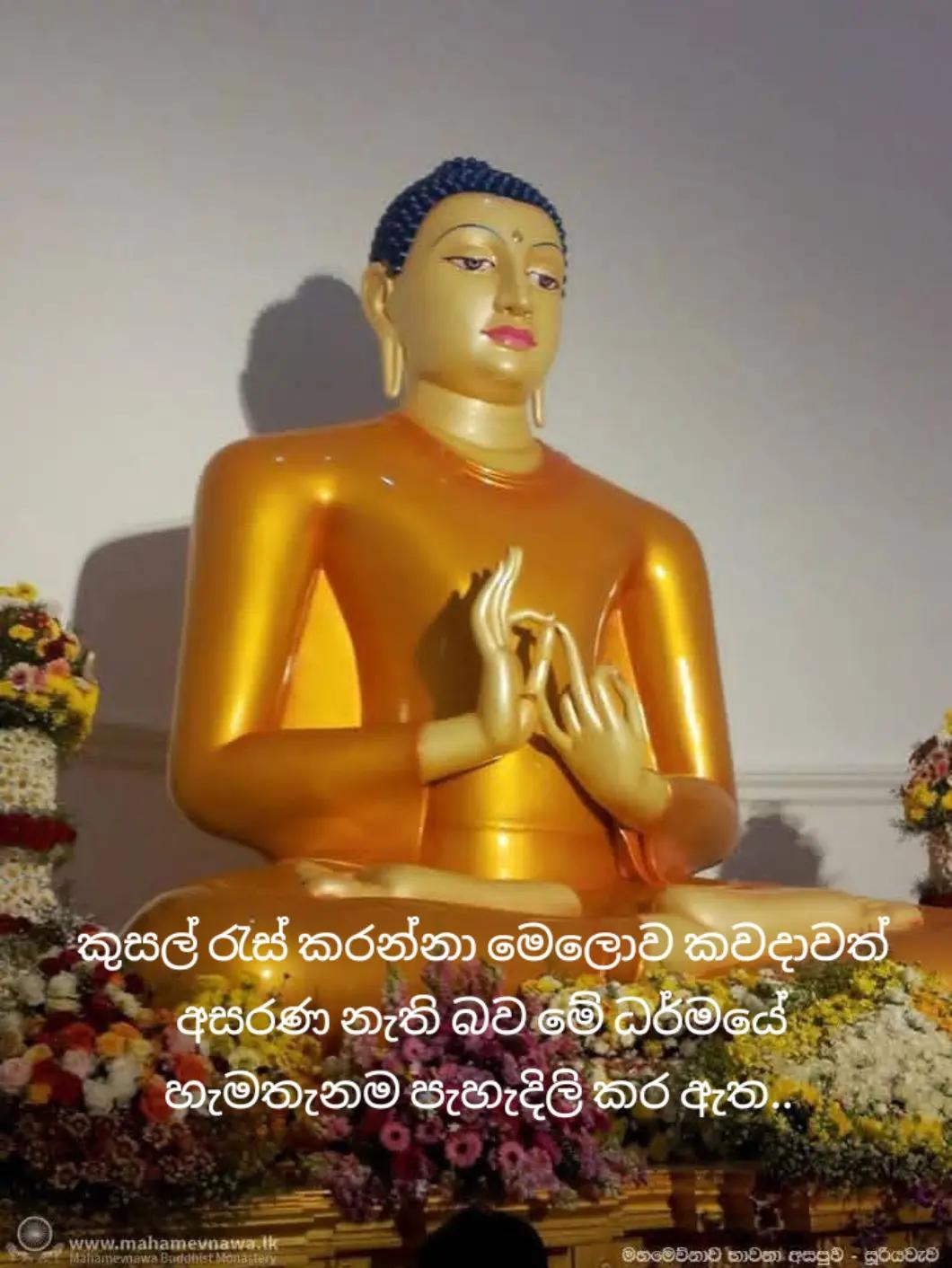 @සබ්බ දානං ධම්ම දානං ජිනාති