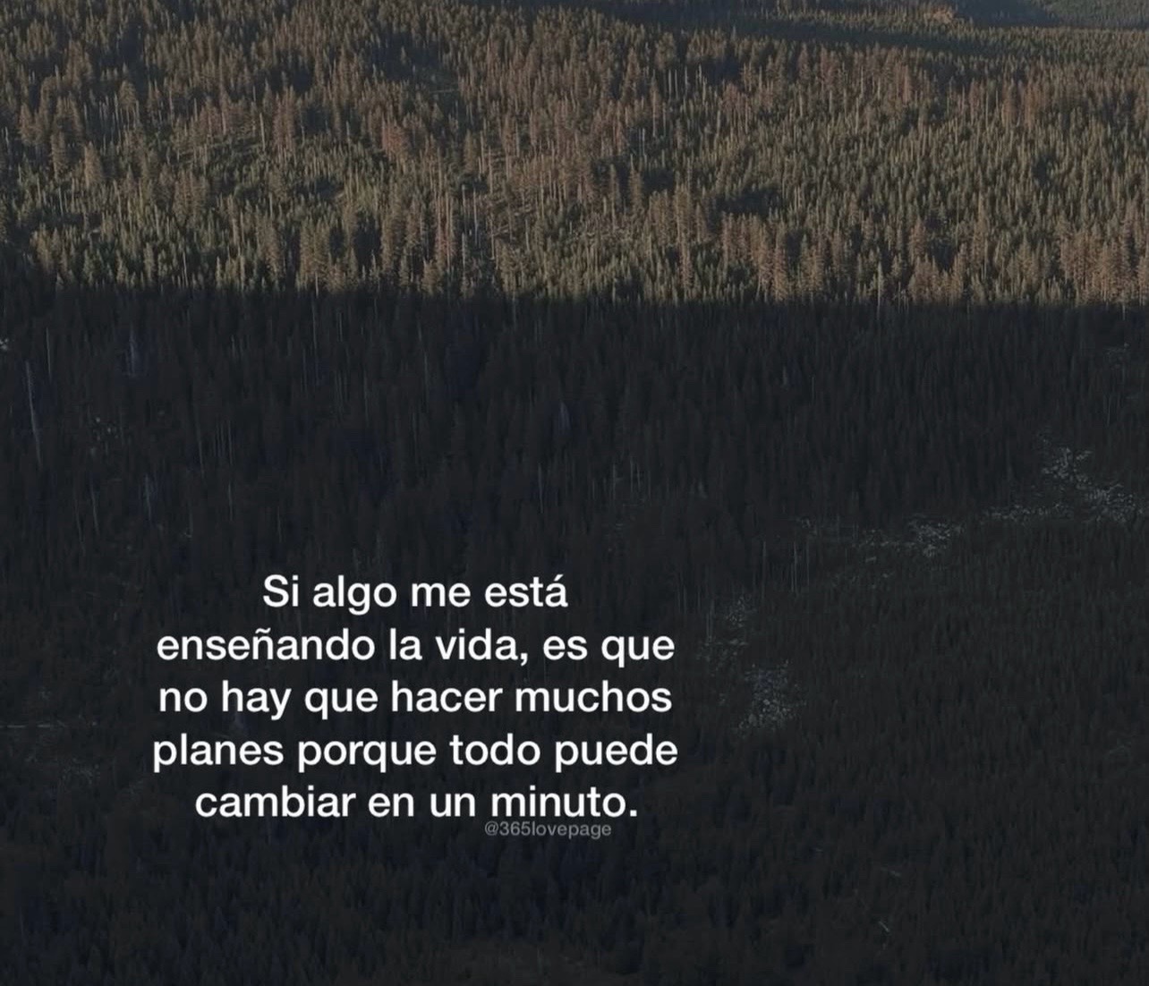 @Oscar Montoya