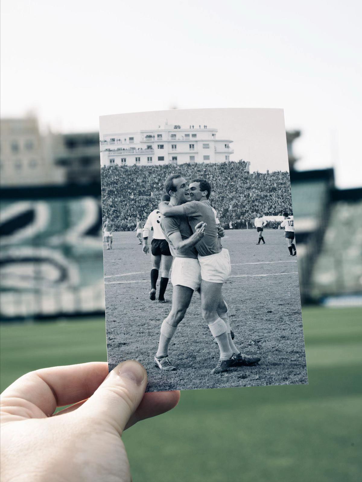 @Panathinaikos FC
