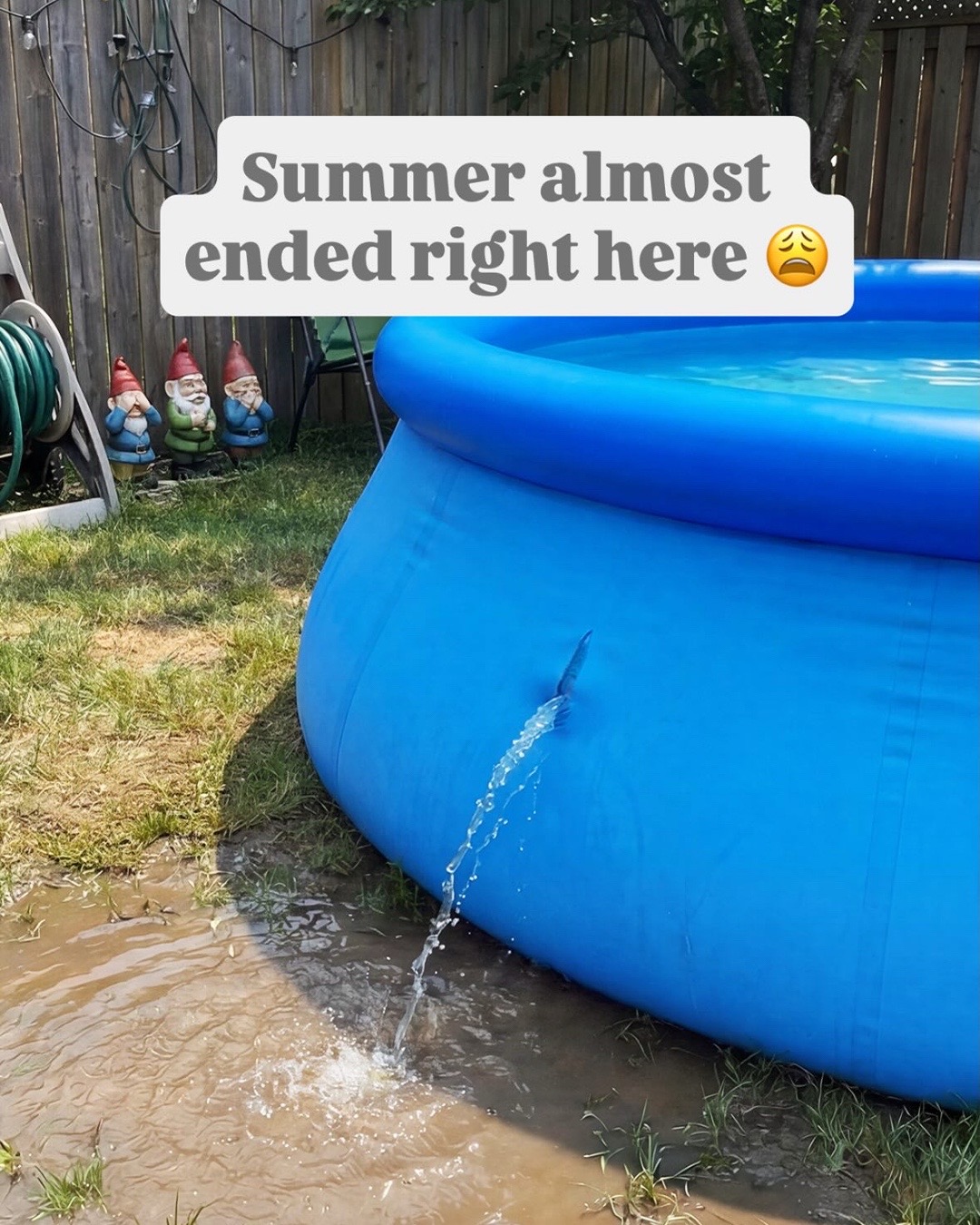 @Flex Seal