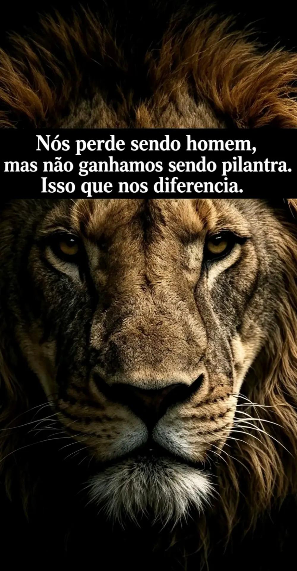 @aureliocampusano