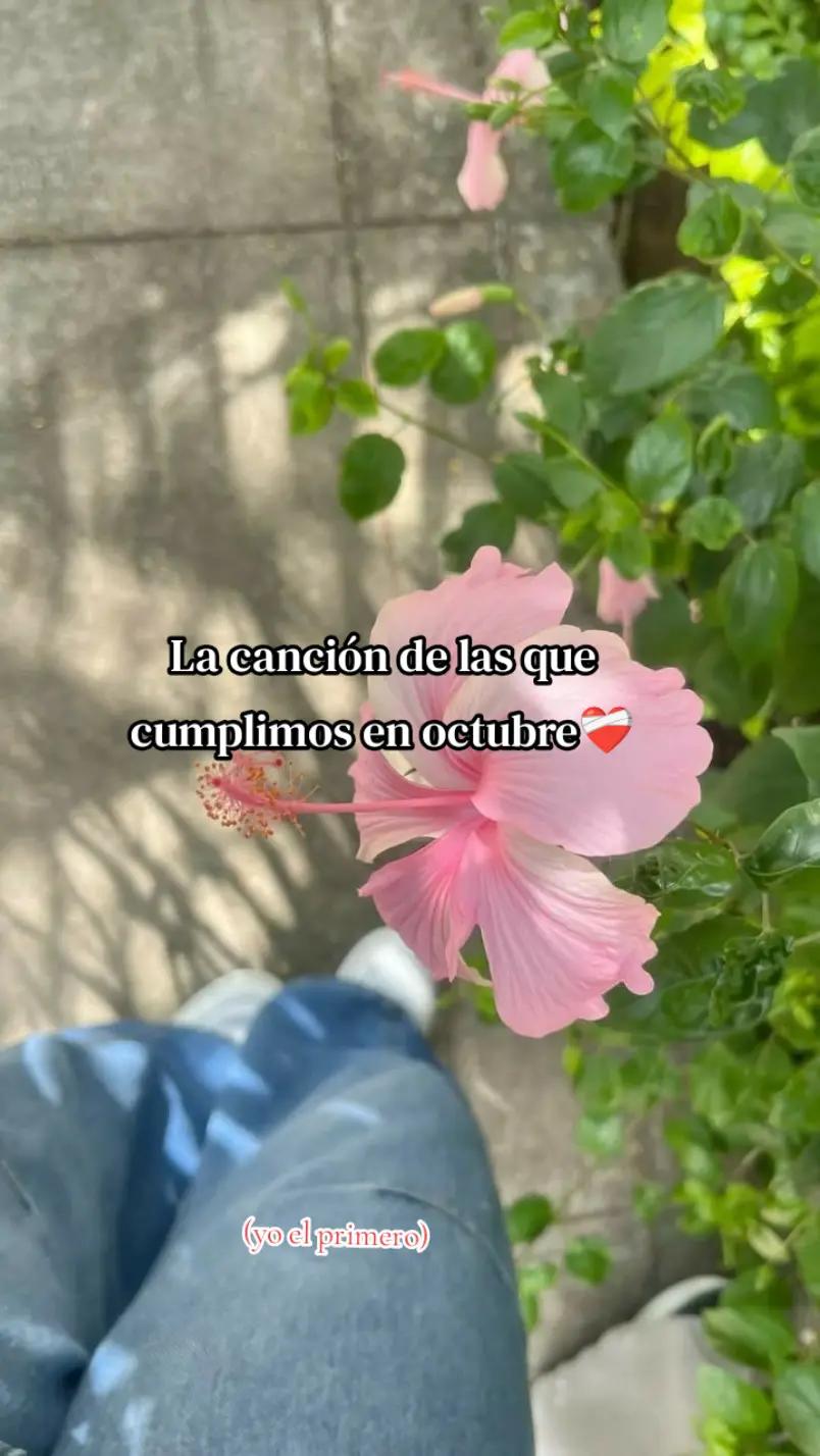 @⚓🍀More🍀⚓