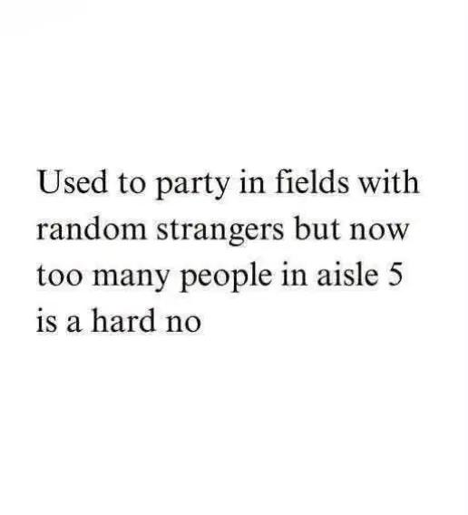 @Author L Meredith McMullan 📚