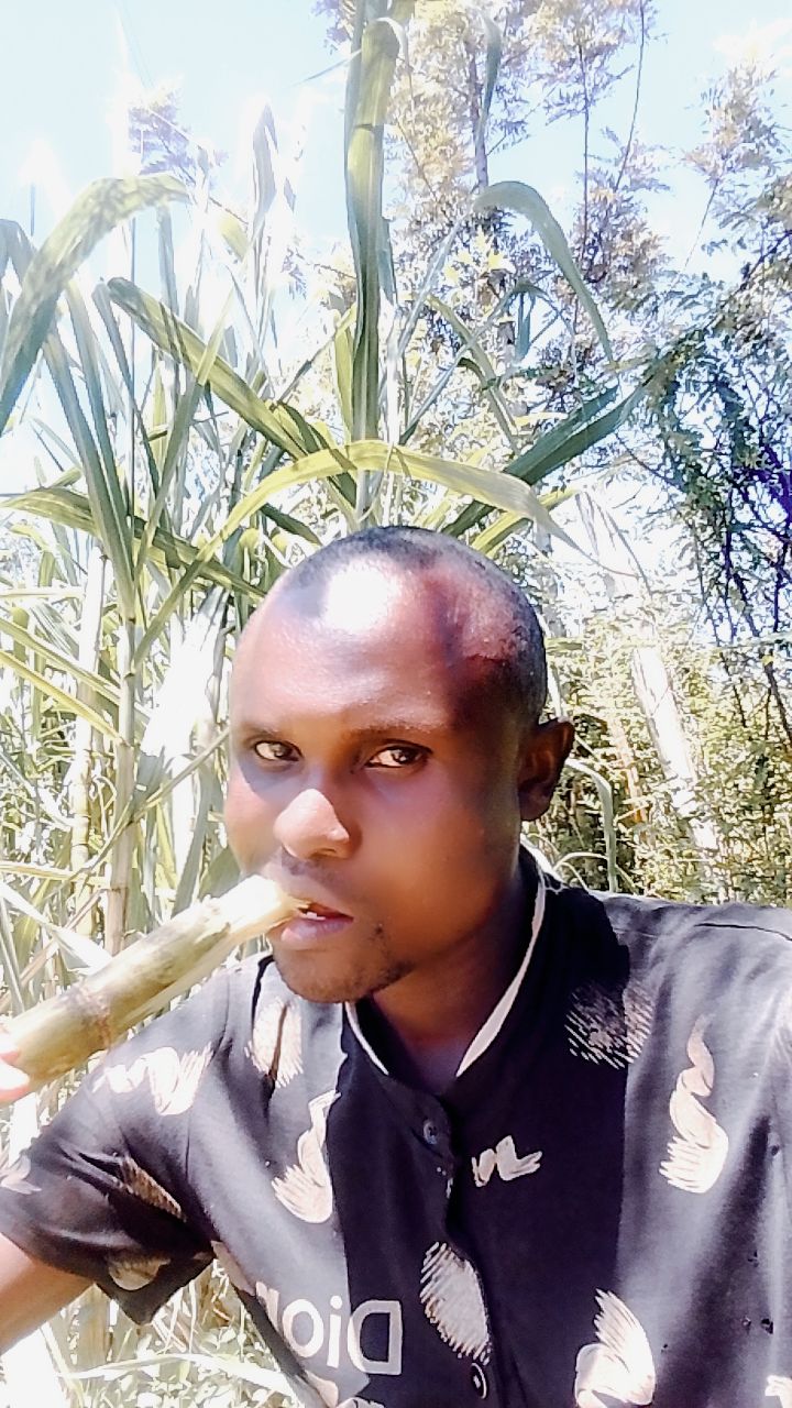 @Vincent Ogoti