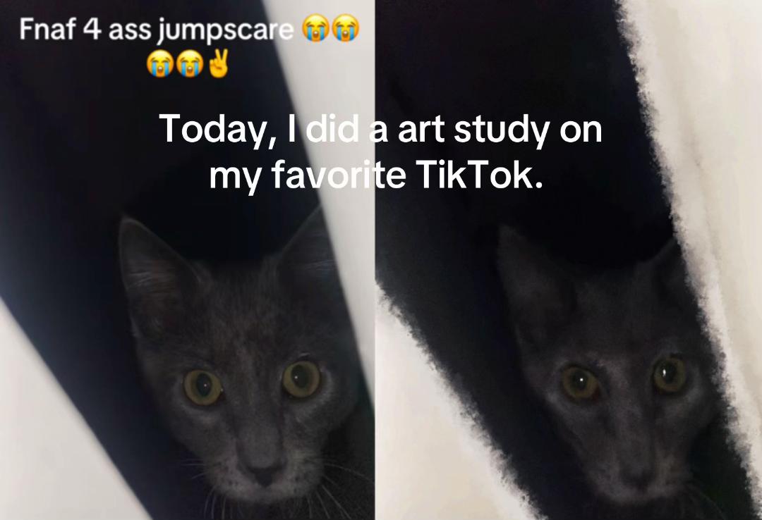 @storkii