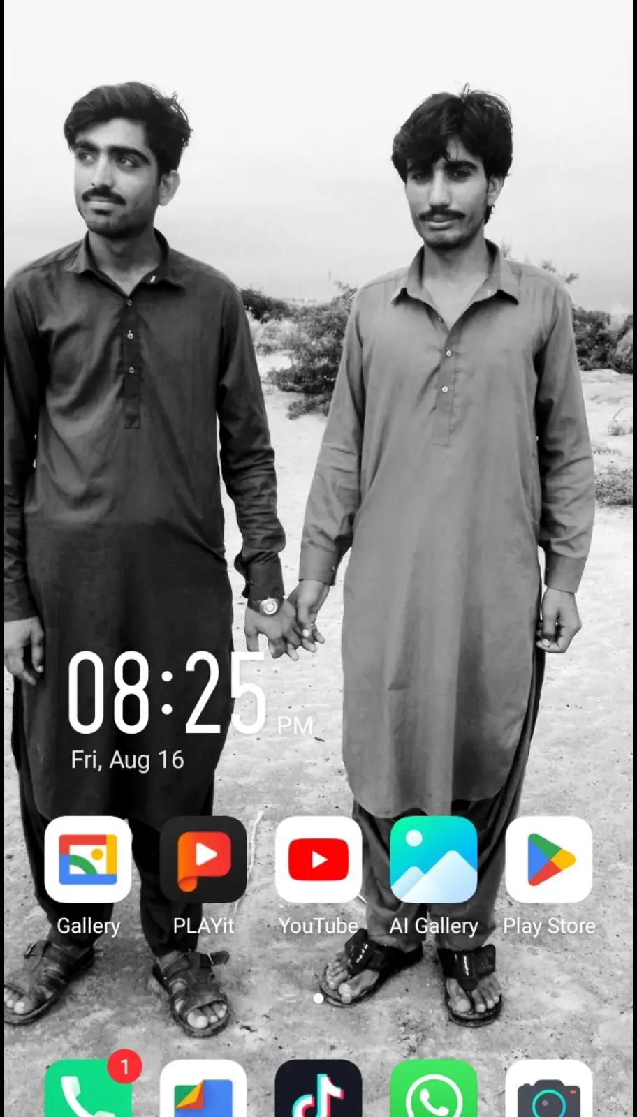 @Hakamm Singh