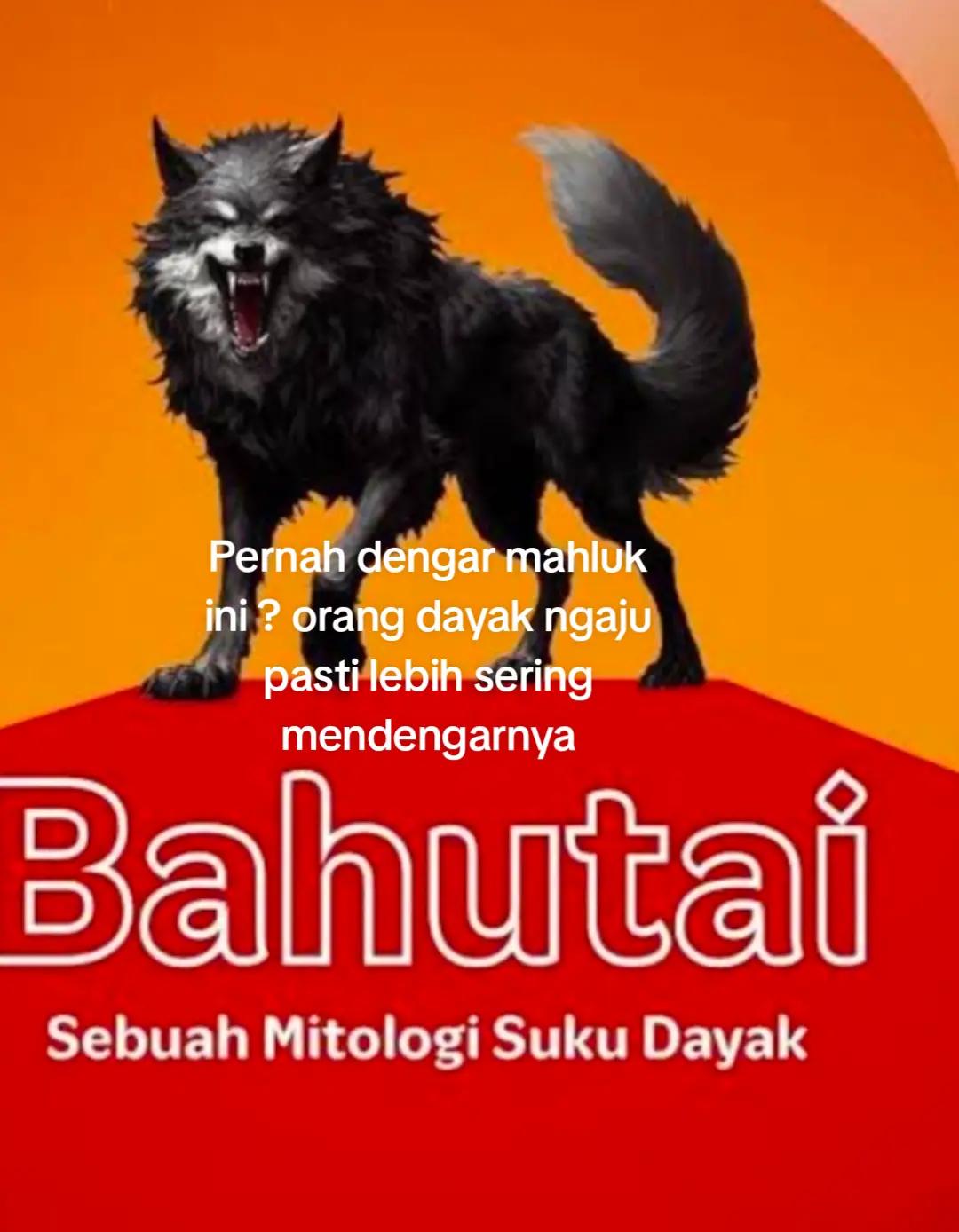 @Wim Benung